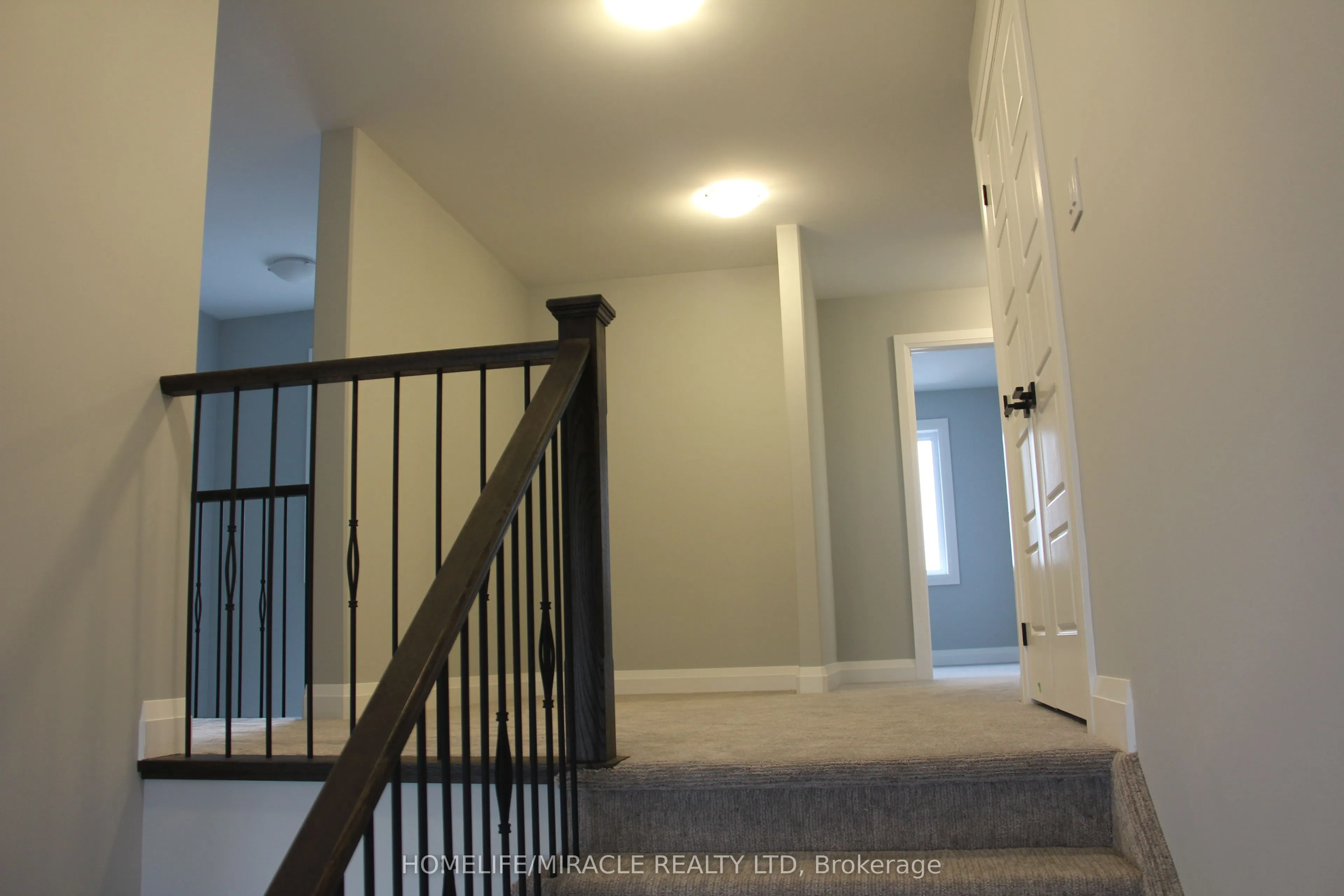 11 Lillys Court