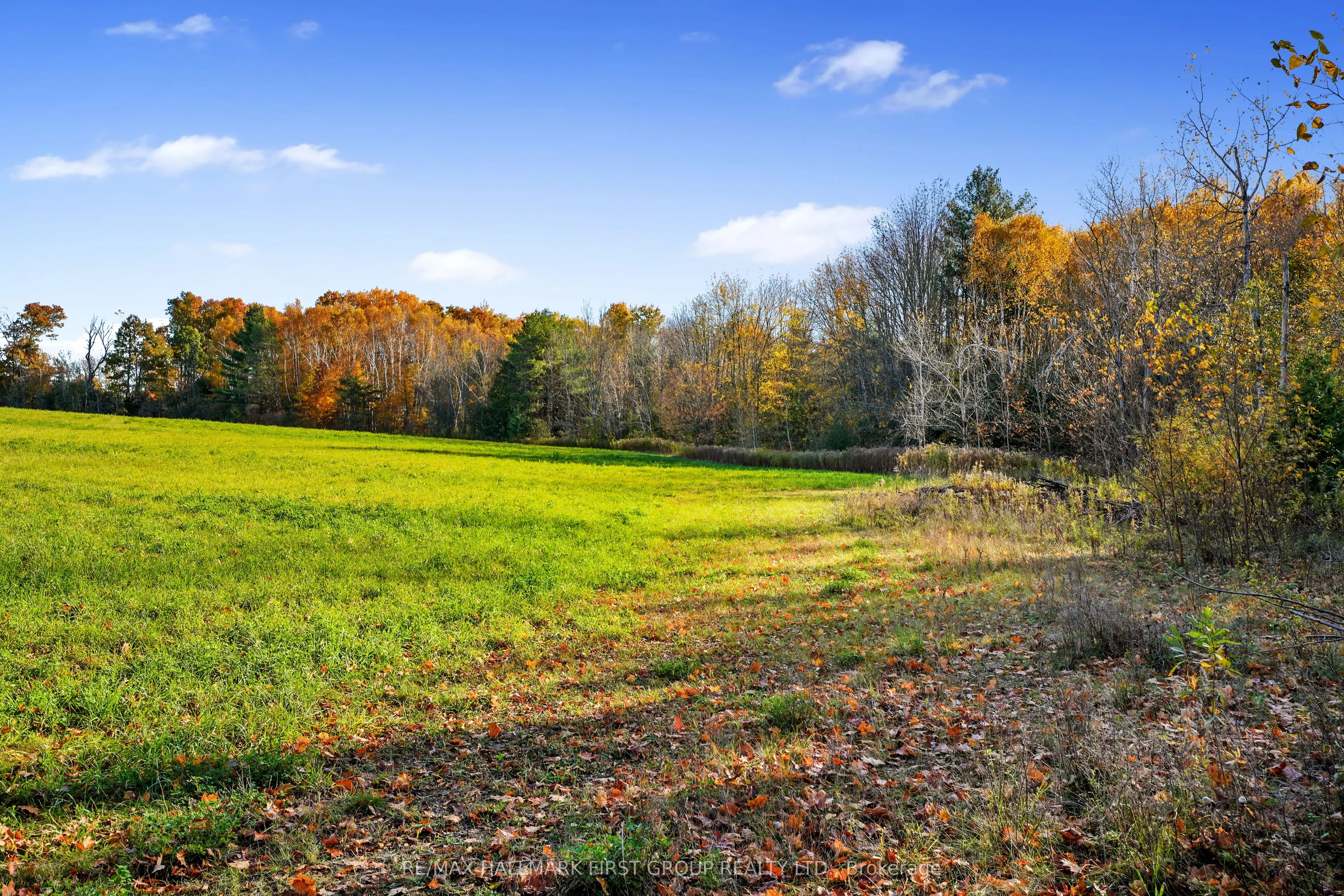 Vacant Land at 181 Forget Road