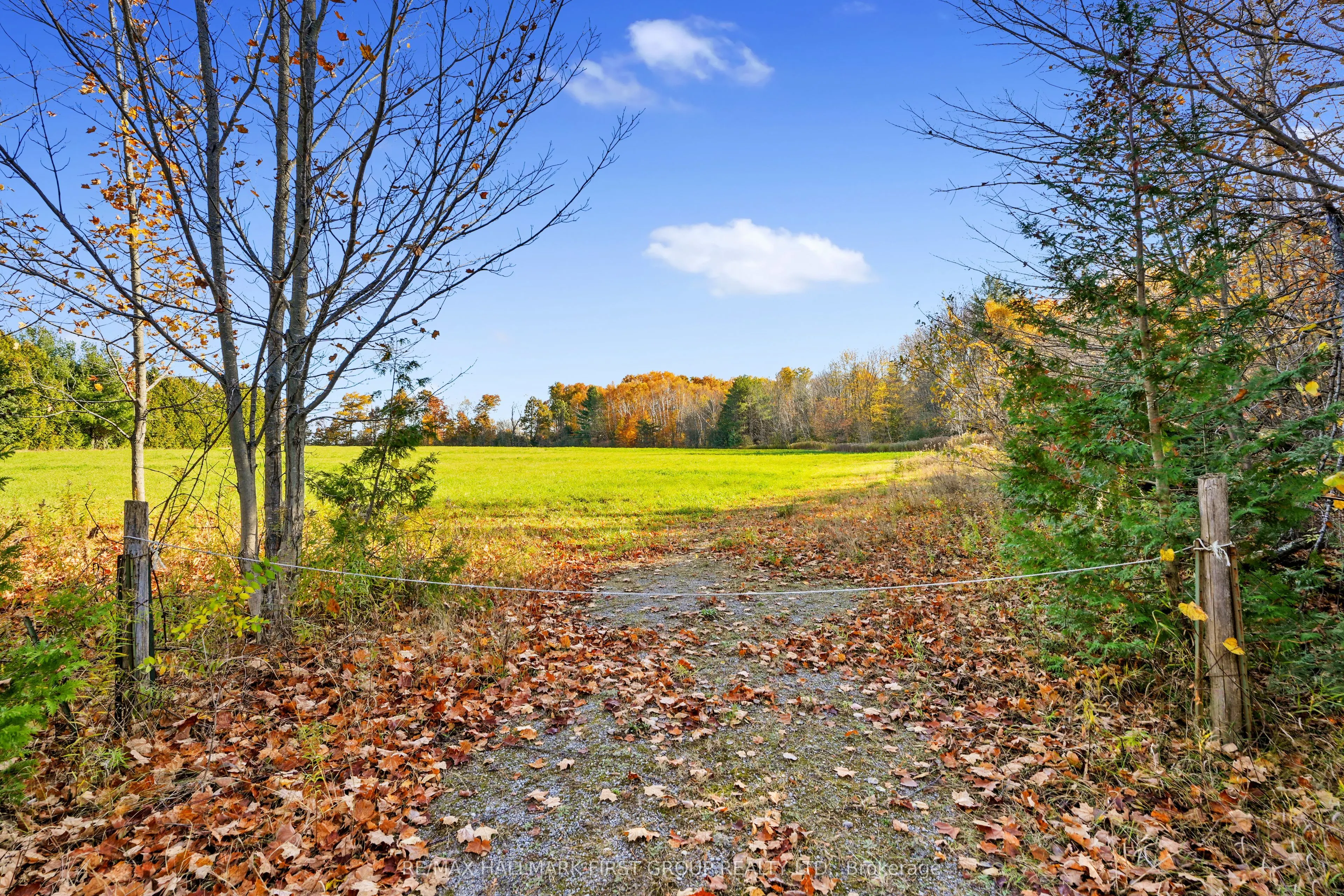 Vacant Land at 181 Forget Road