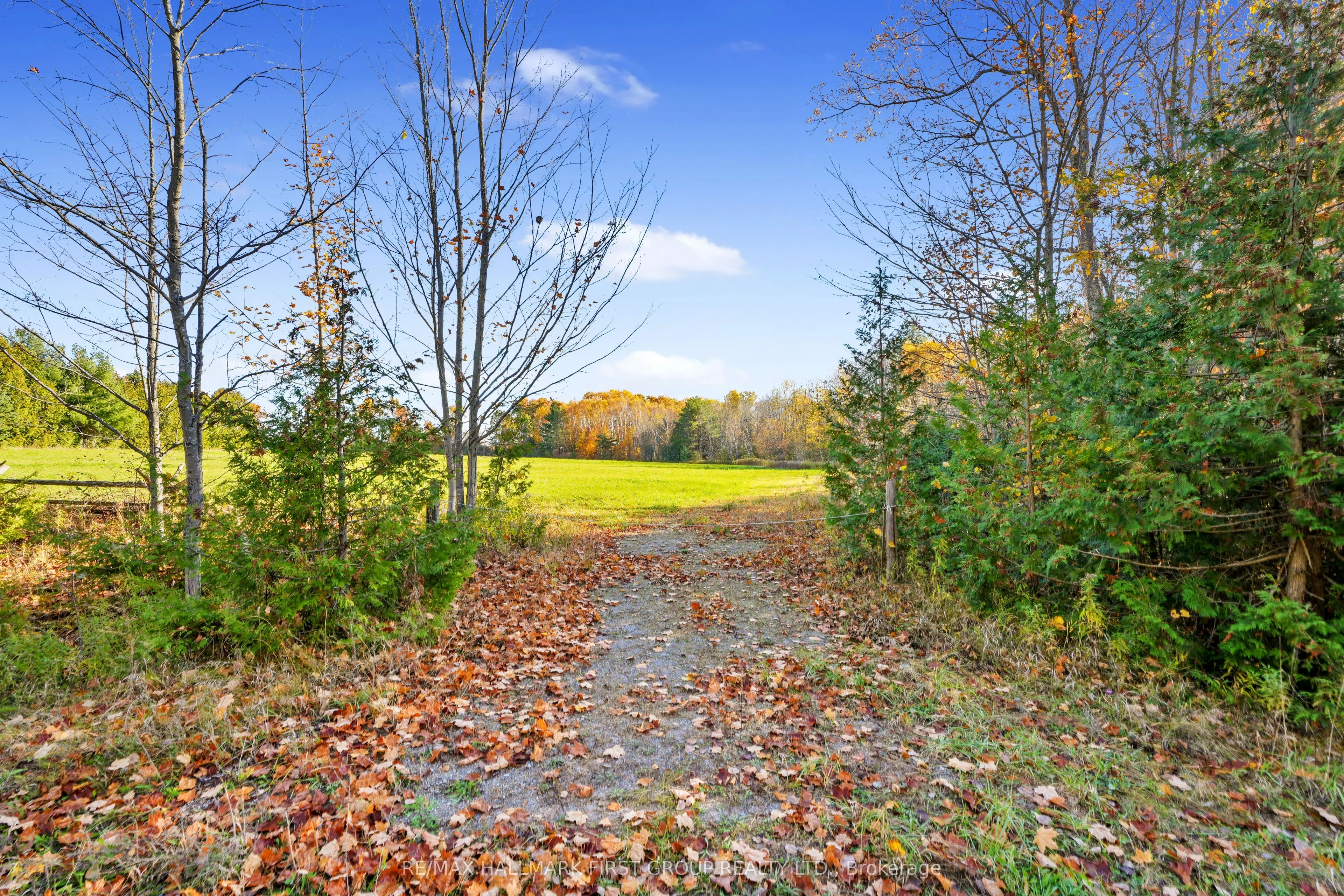 Vacant Land at 181 Forget Road