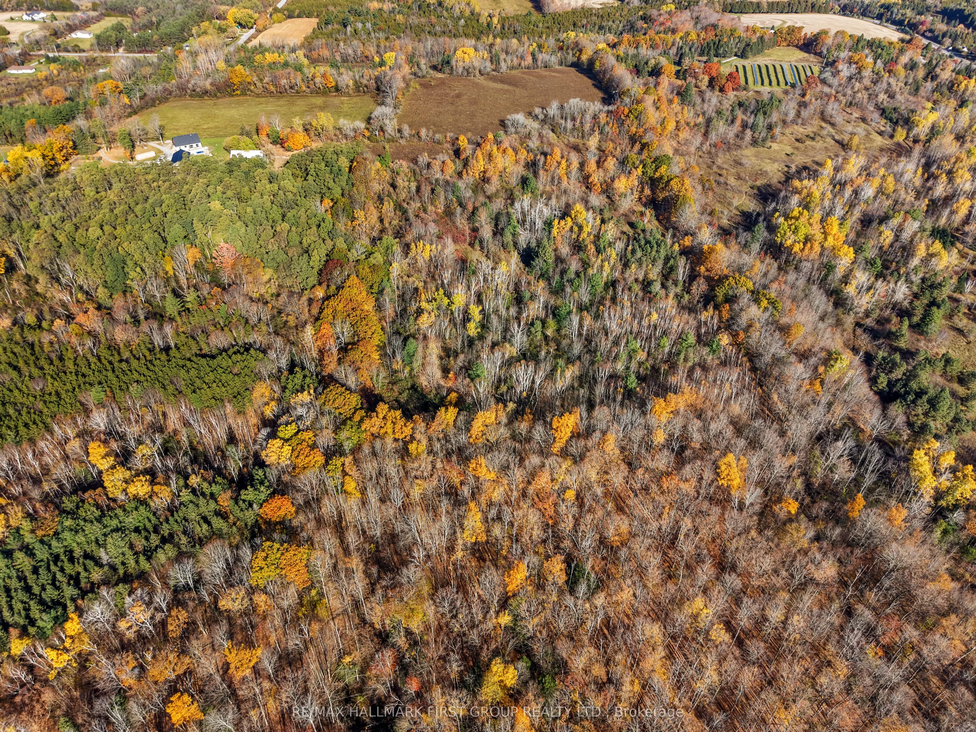 A Pipeline Road