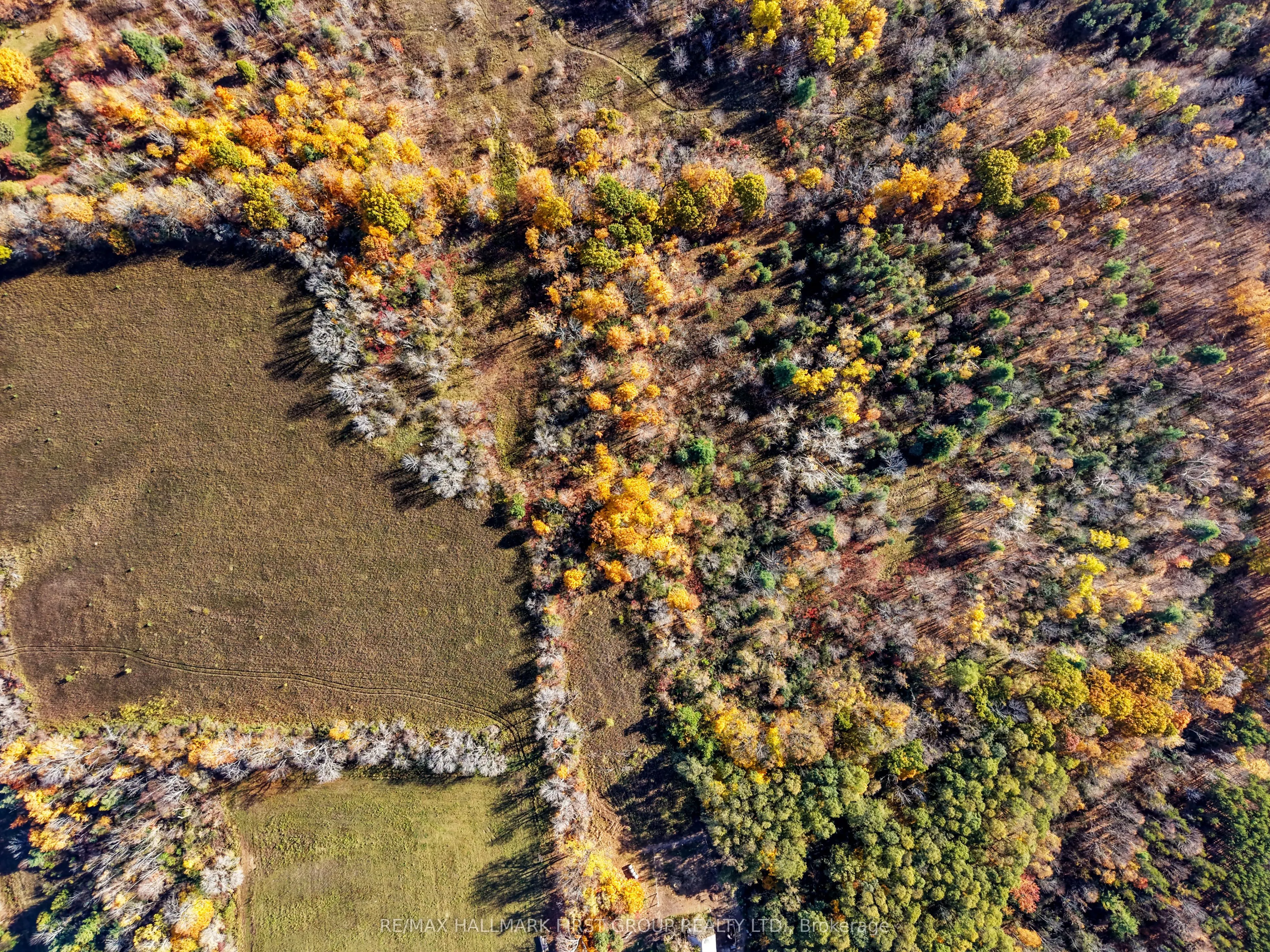 A Pipeline Road