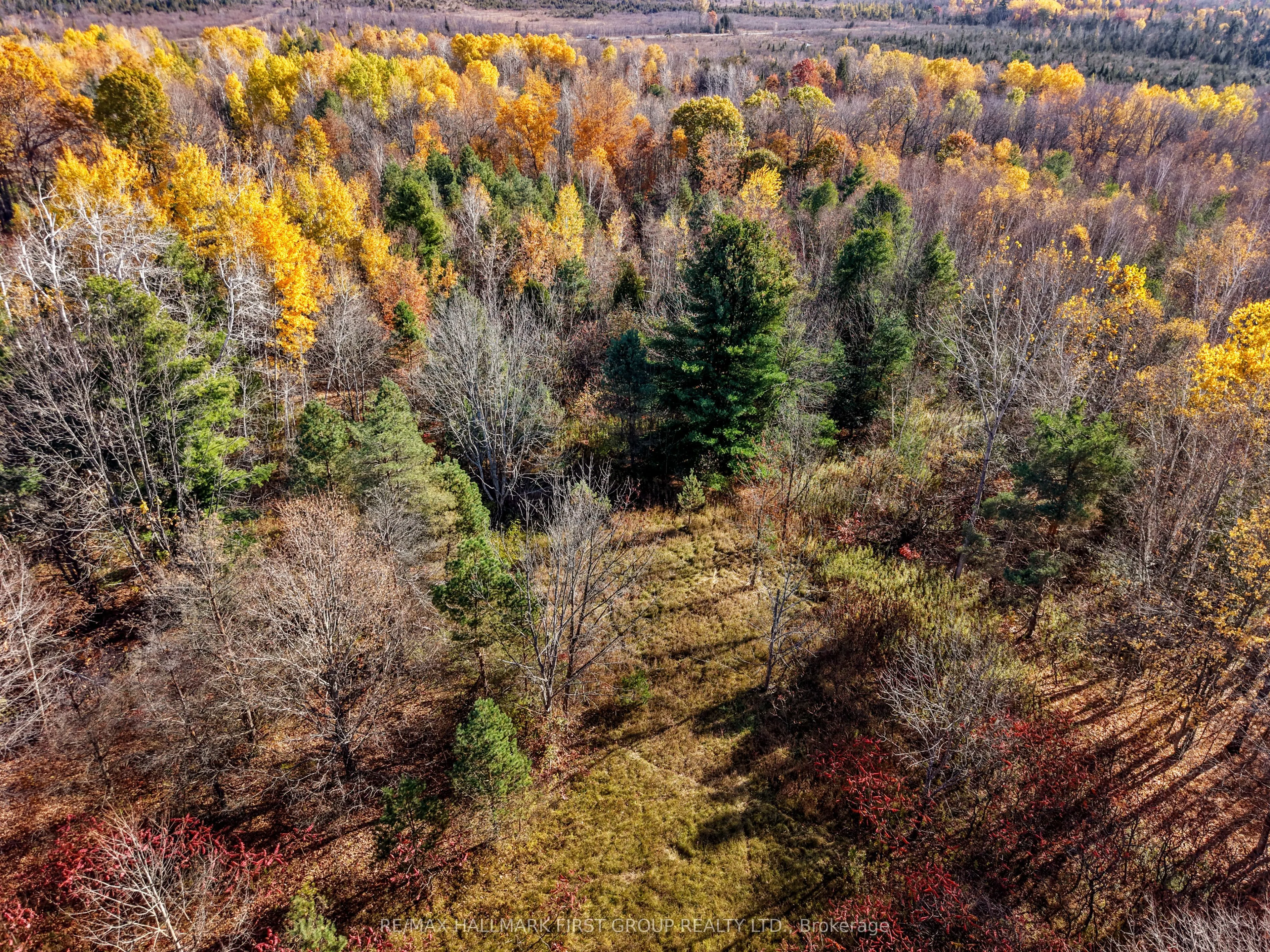 A Pipeline Road