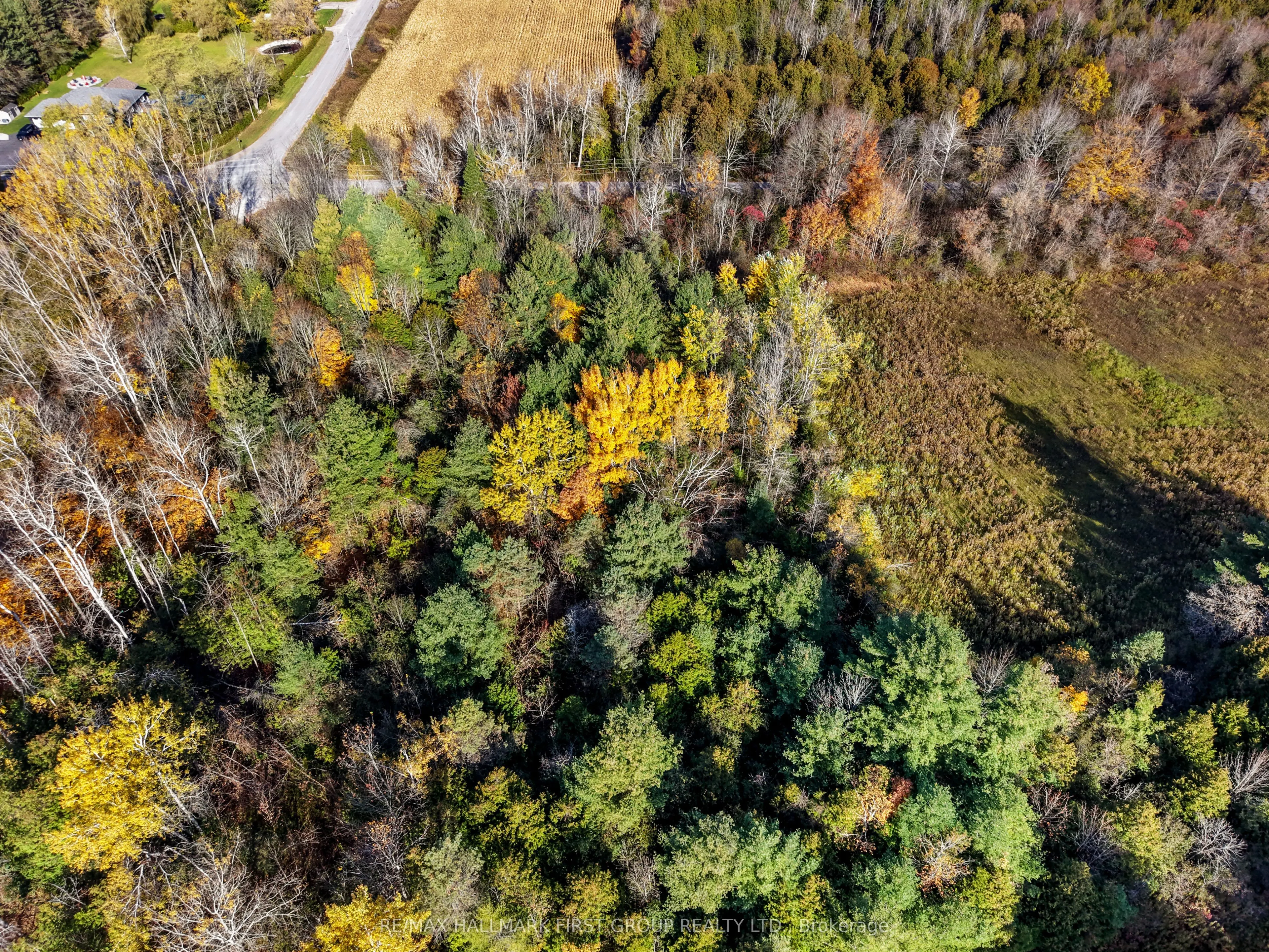 B2 Pipeline Road