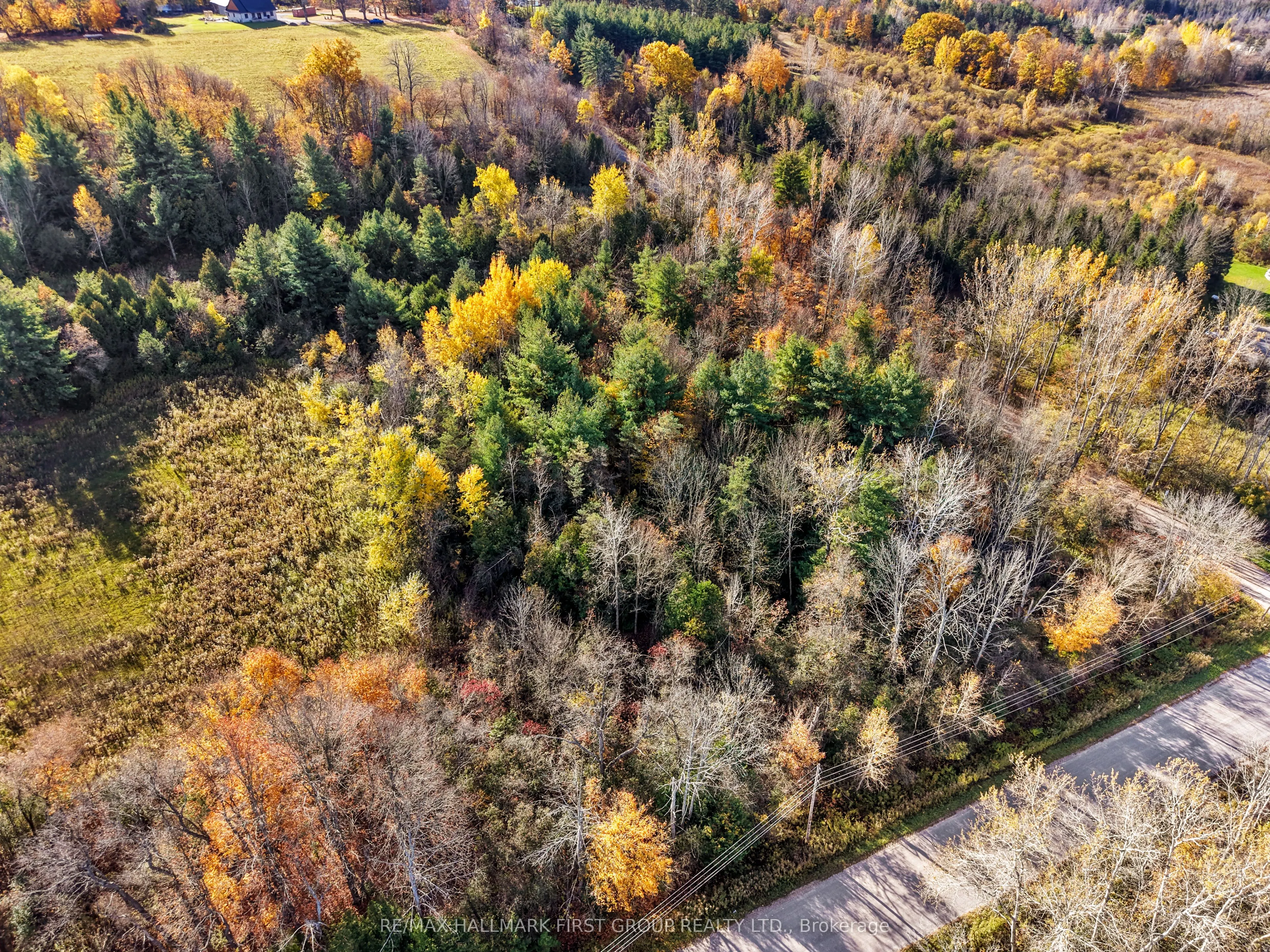 B2 Pipeline Road