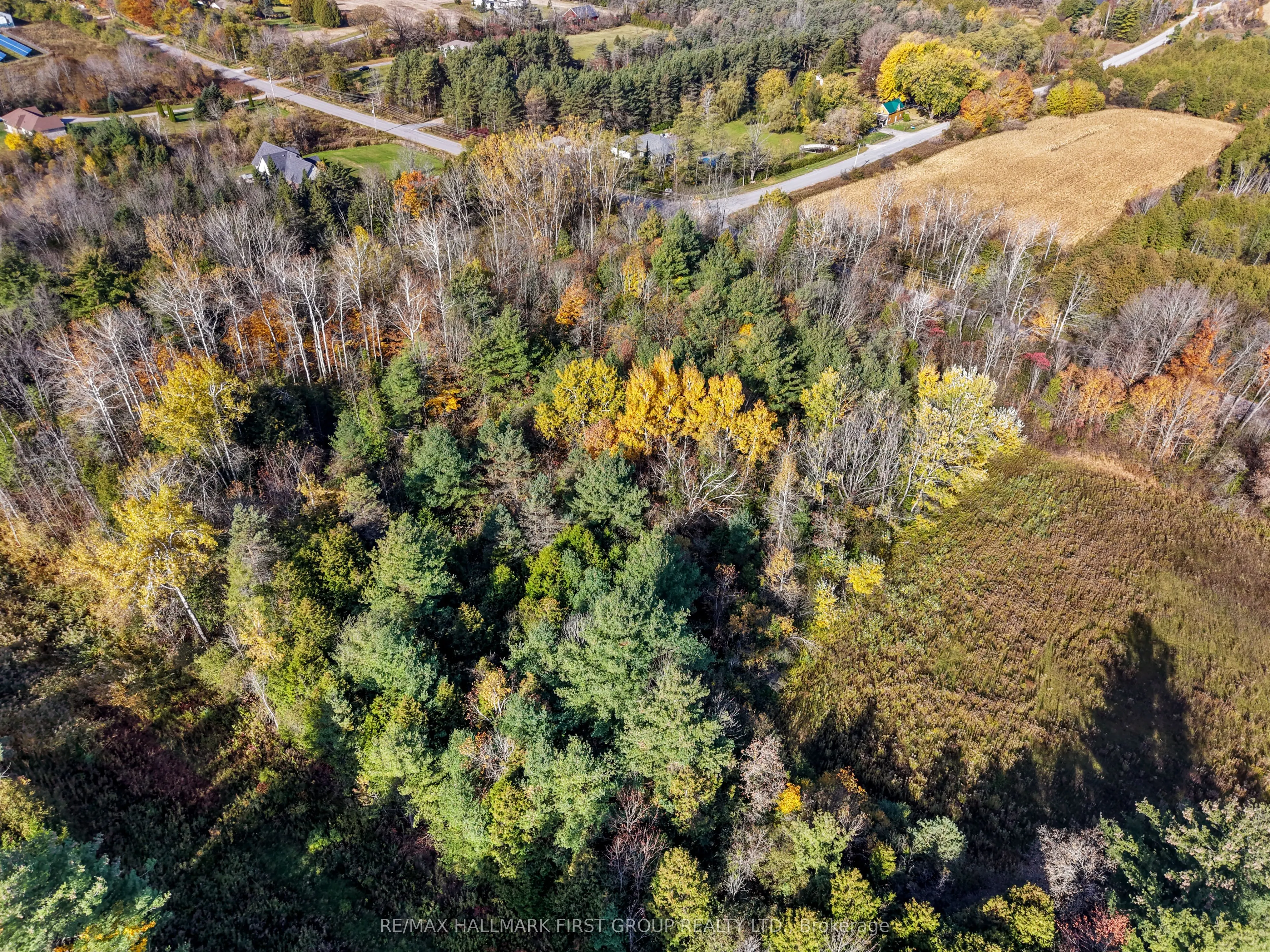 B2 Pipeline Road