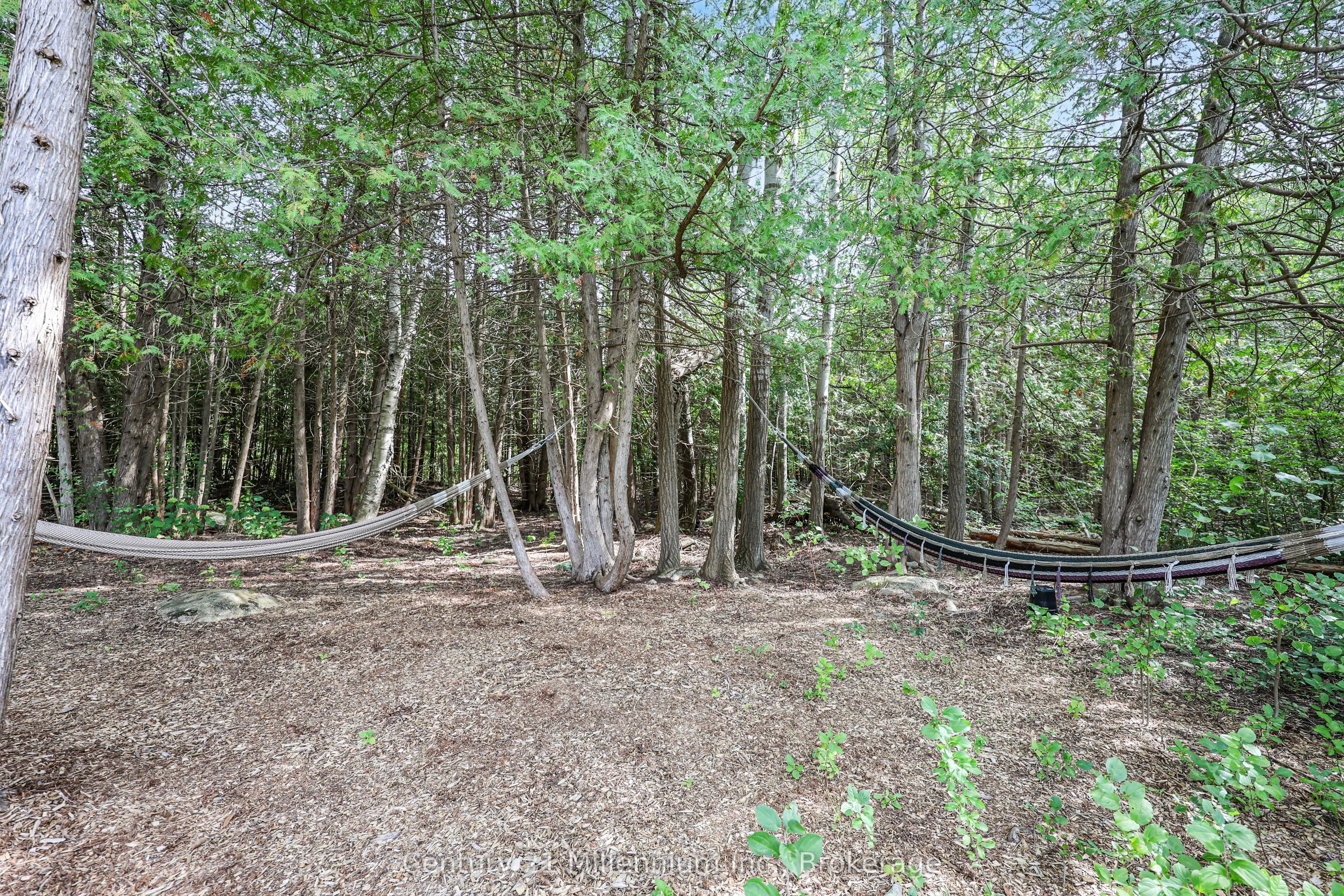 103 Tekiah Road