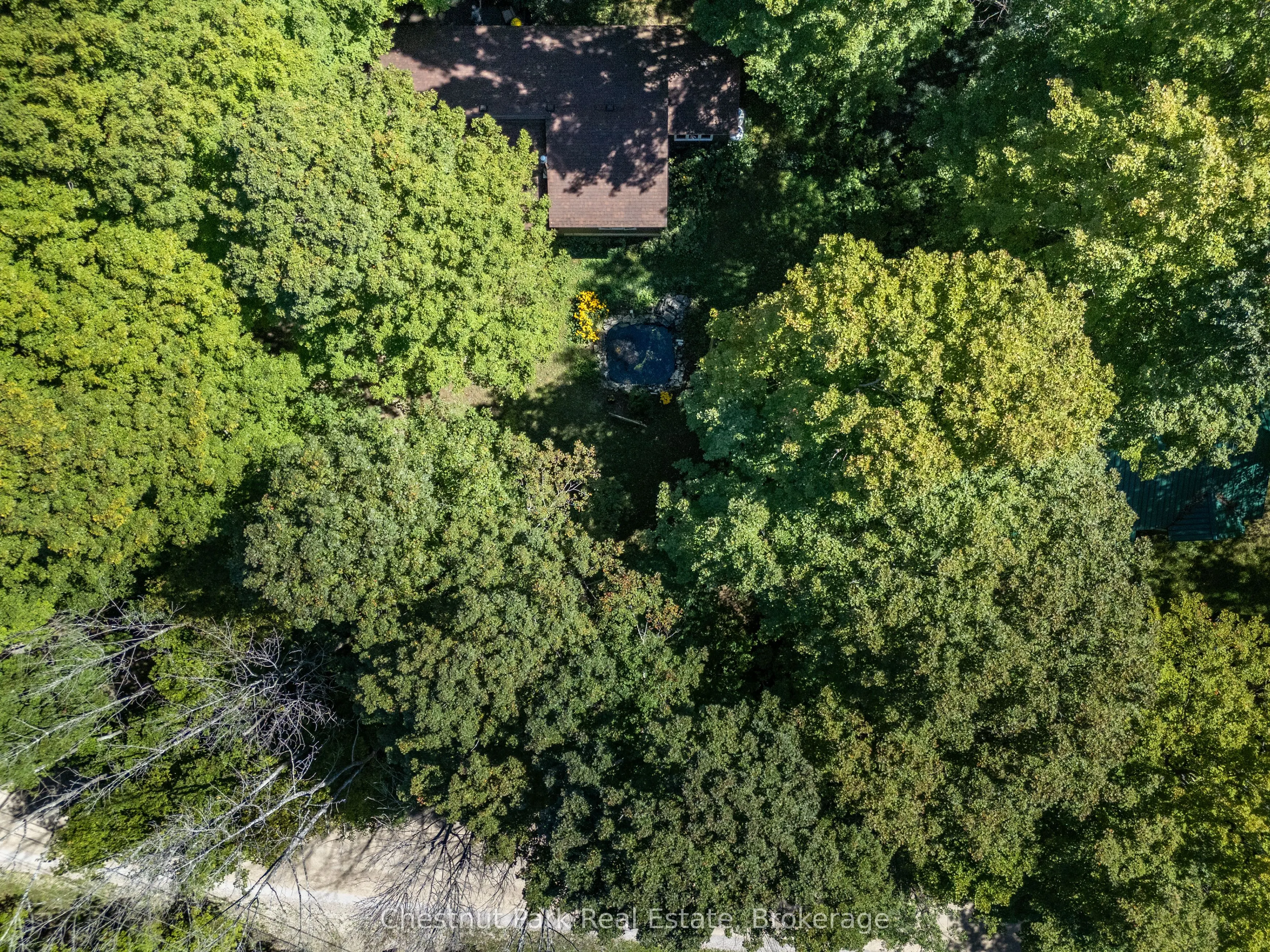 225 Tammy's Cove Road