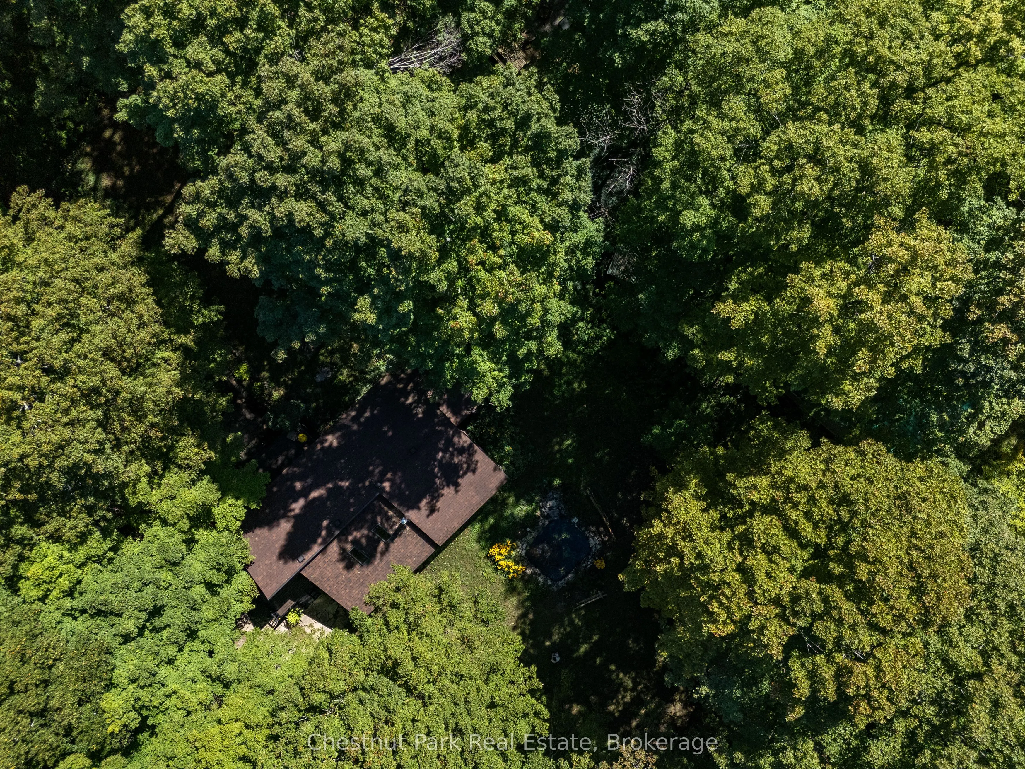 225 Tammy's Cove Road