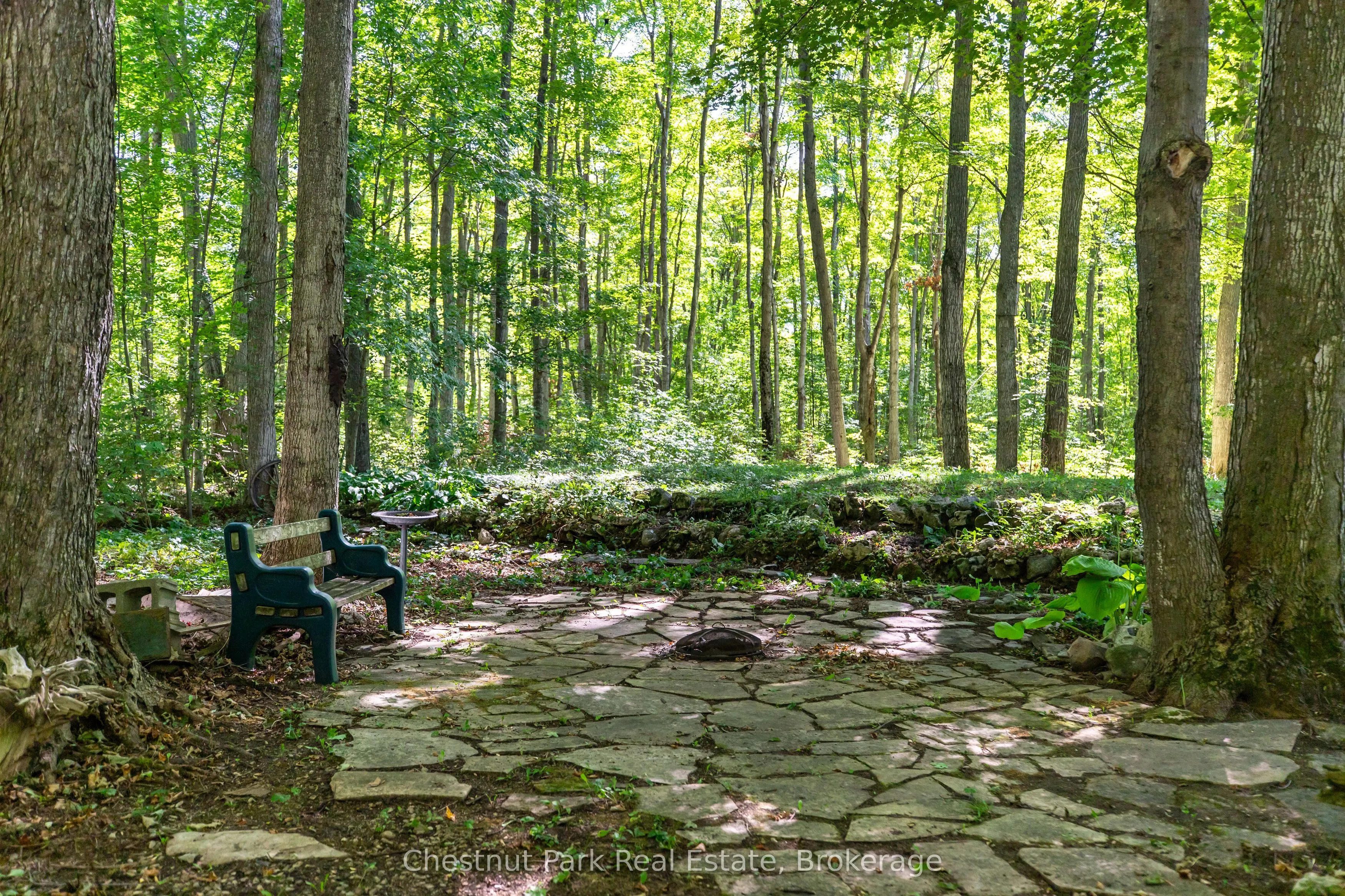 225 Tammy's Cove Road