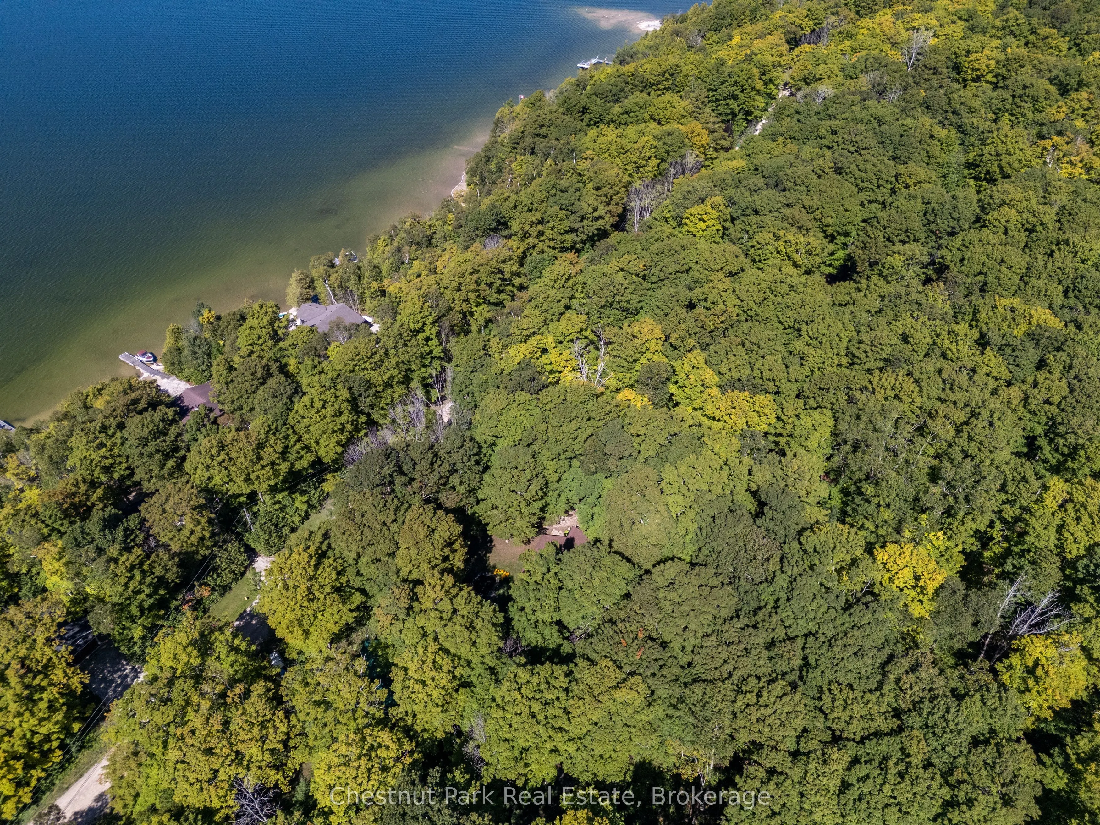 225 Tammy's Cove Road