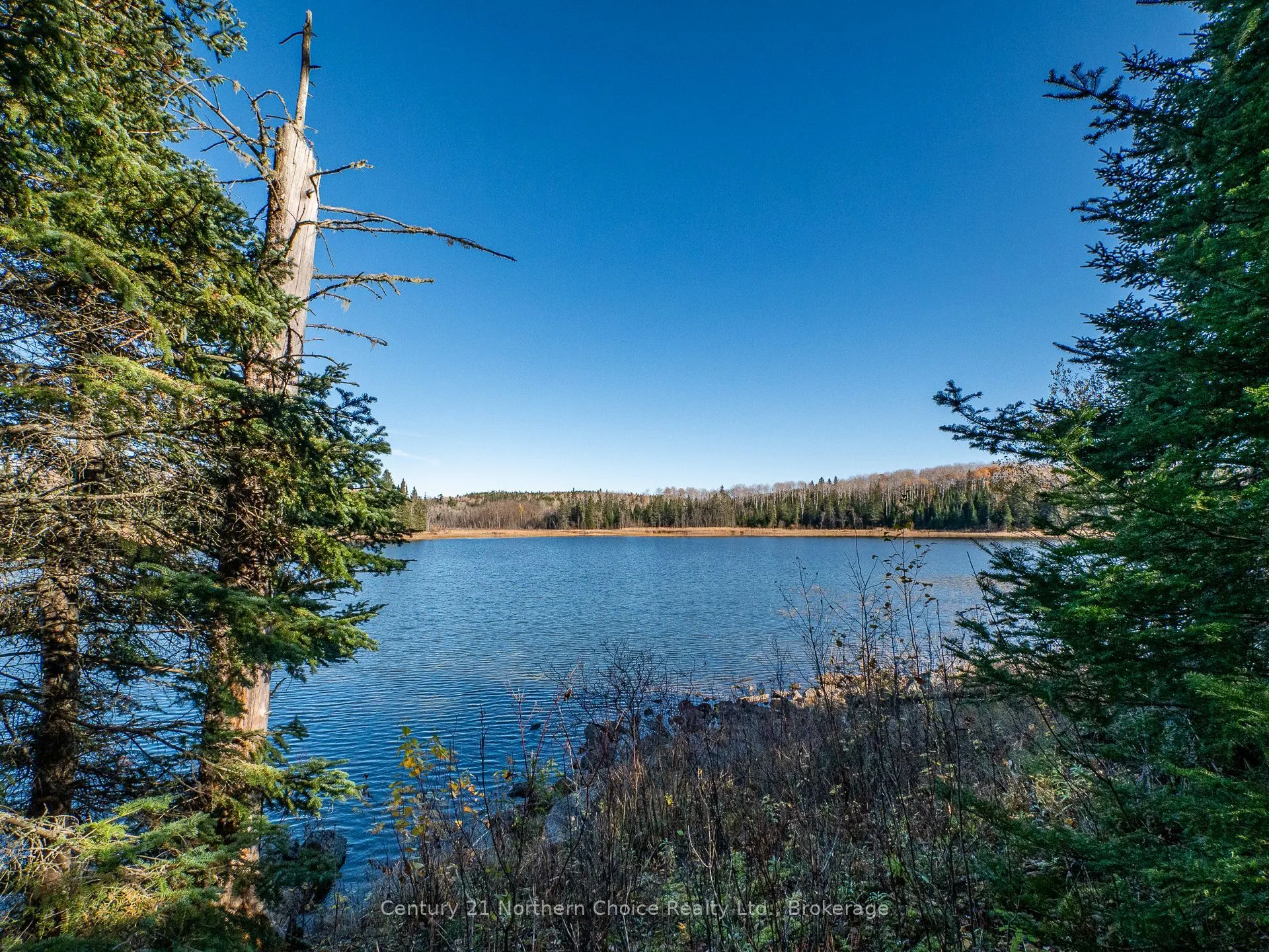 2 NE BAY, BLACK STURGEON Acres
