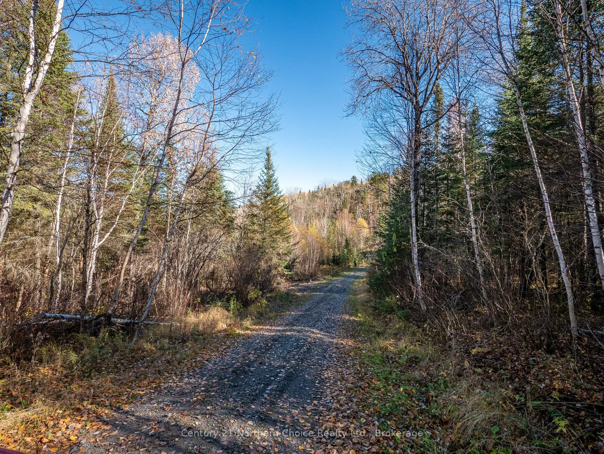 2 NE BAY, BLACK STURGEON Acres