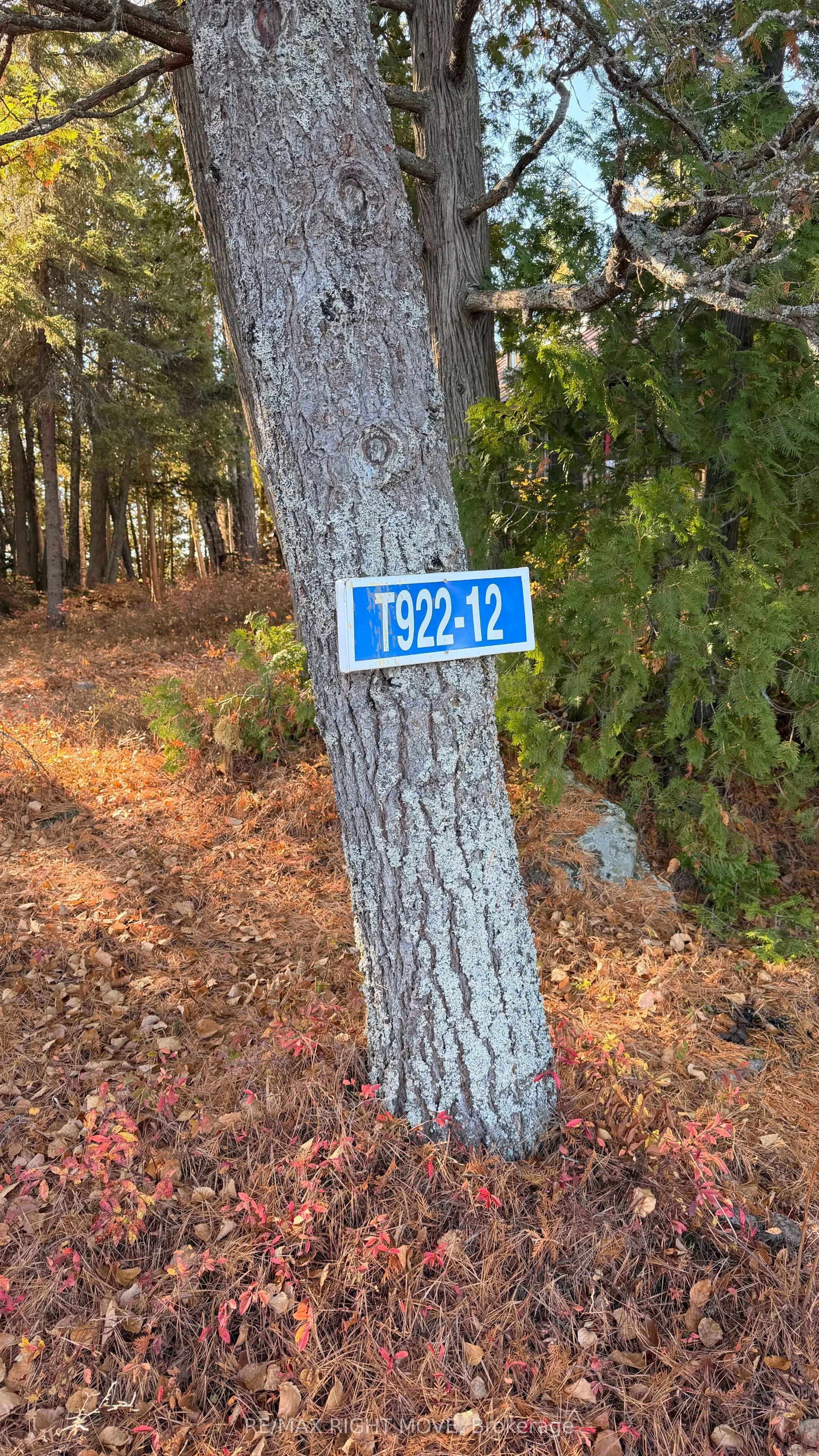 12 Lake Temagami Island