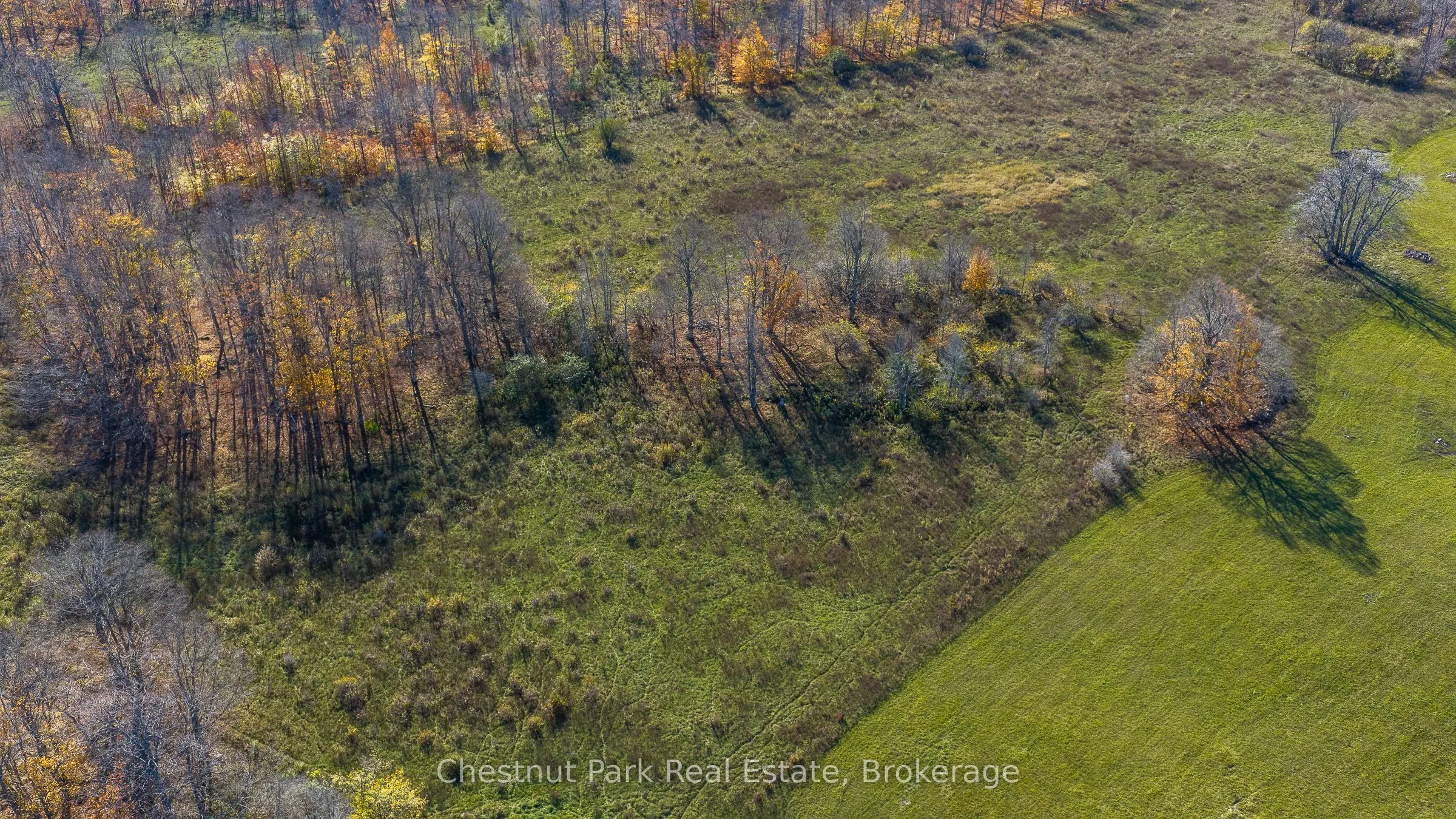 92 Crane Lake Road