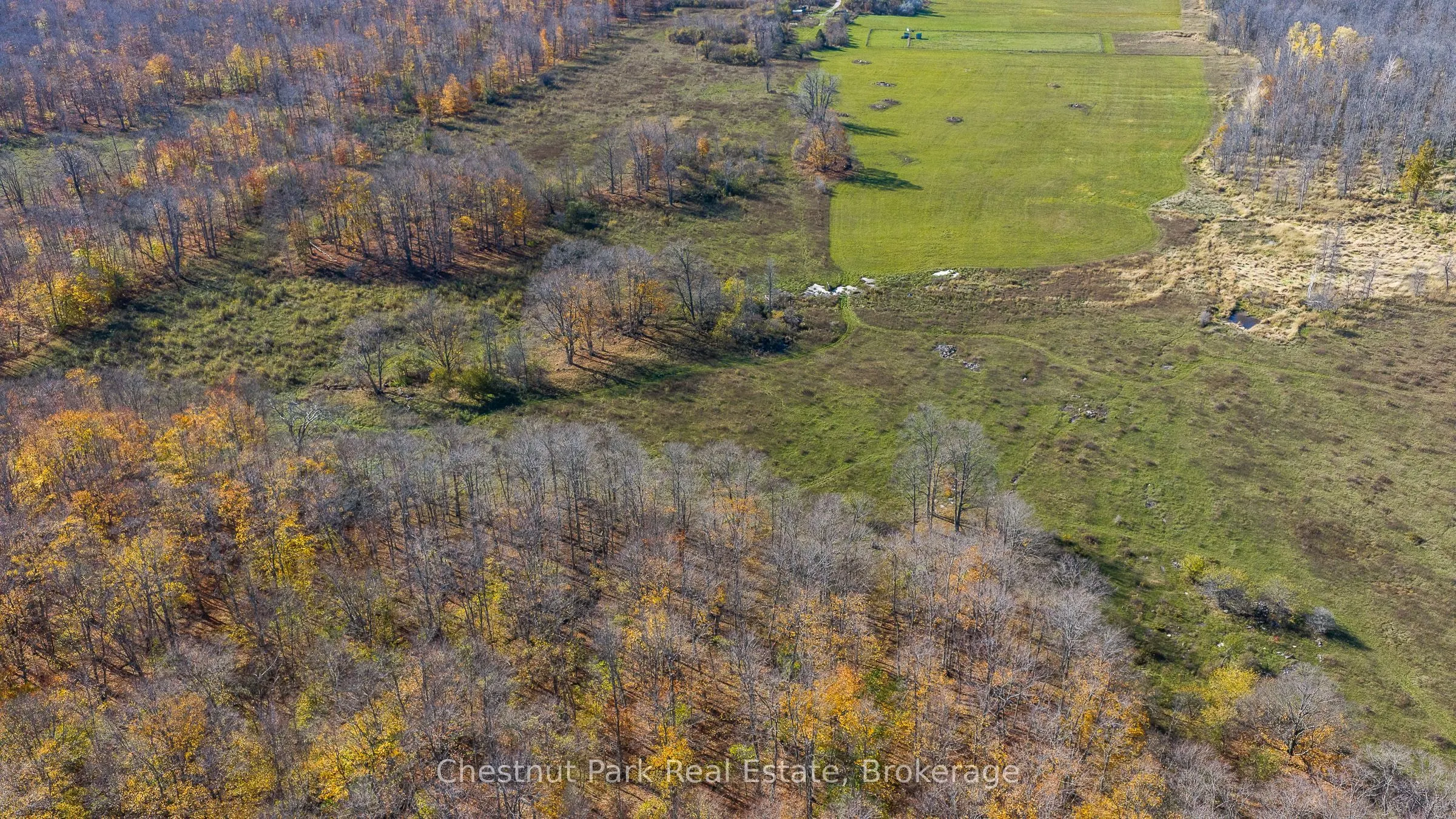92 Crane Lake Road