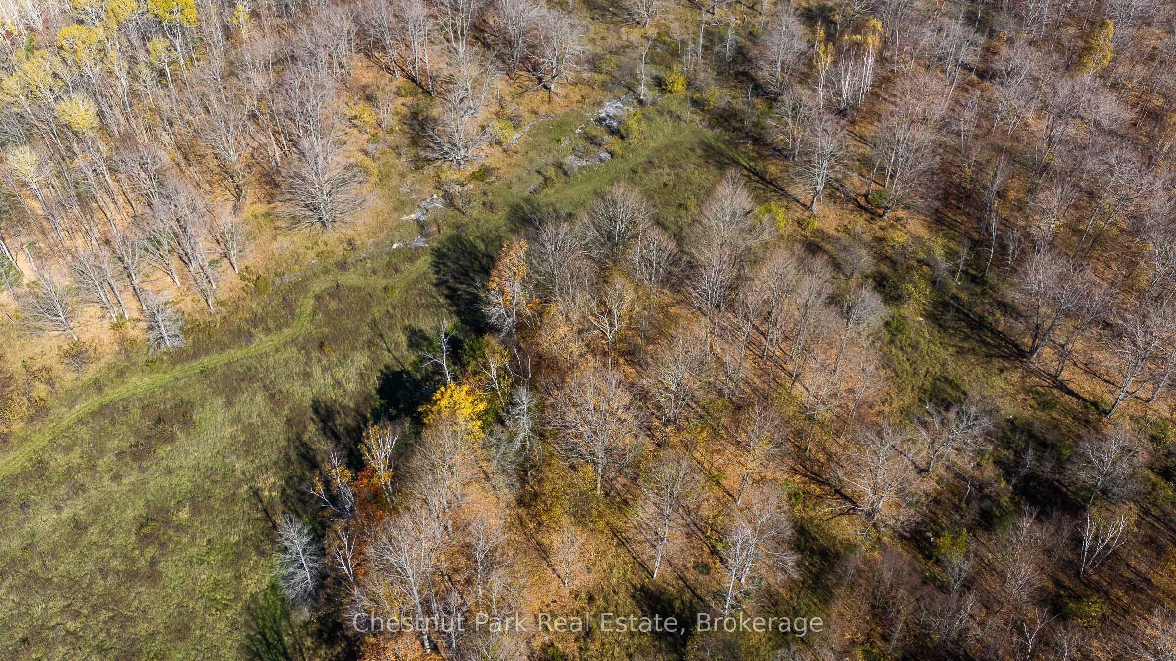 92 Crane Lake Road