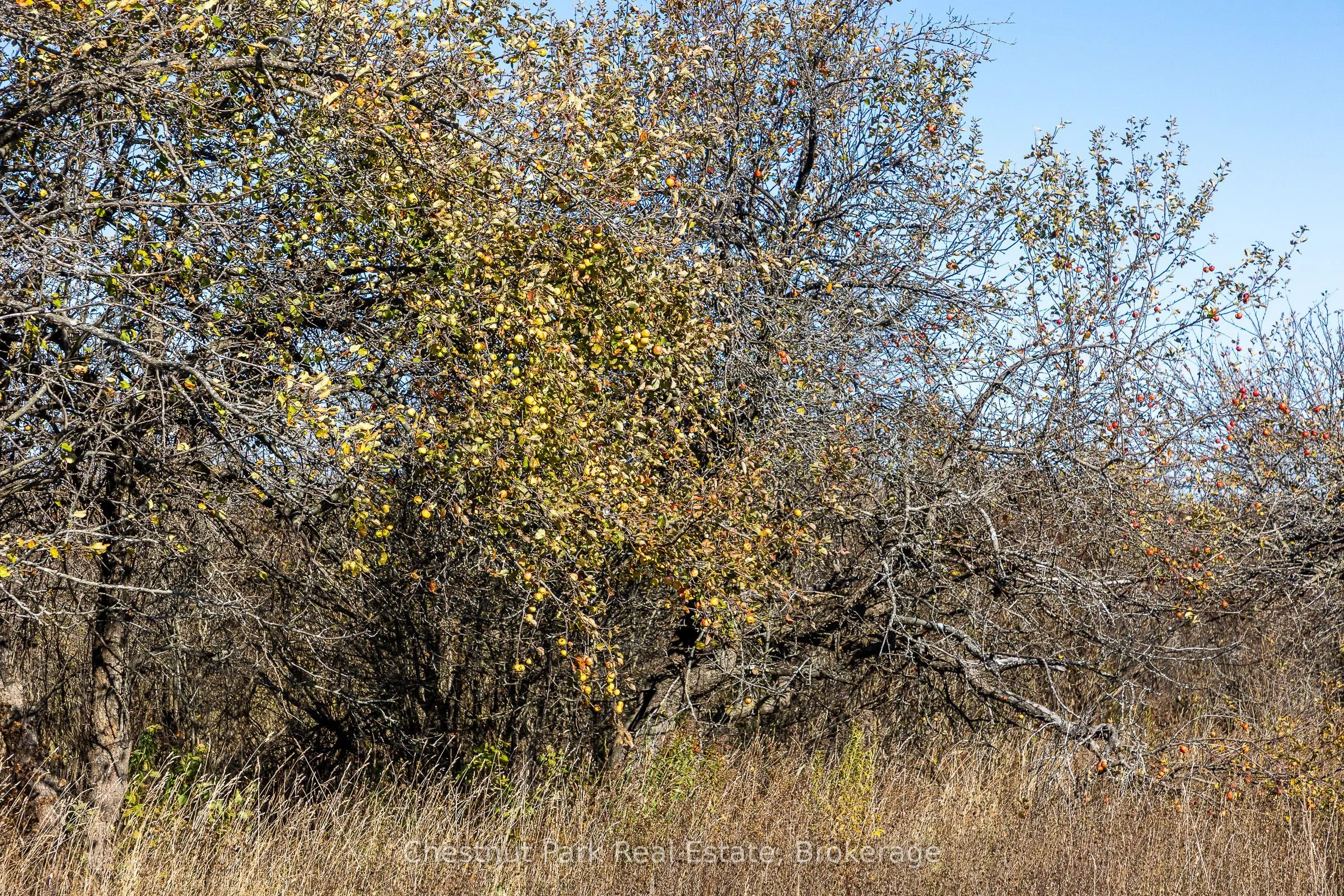 92 Crane Lake Road