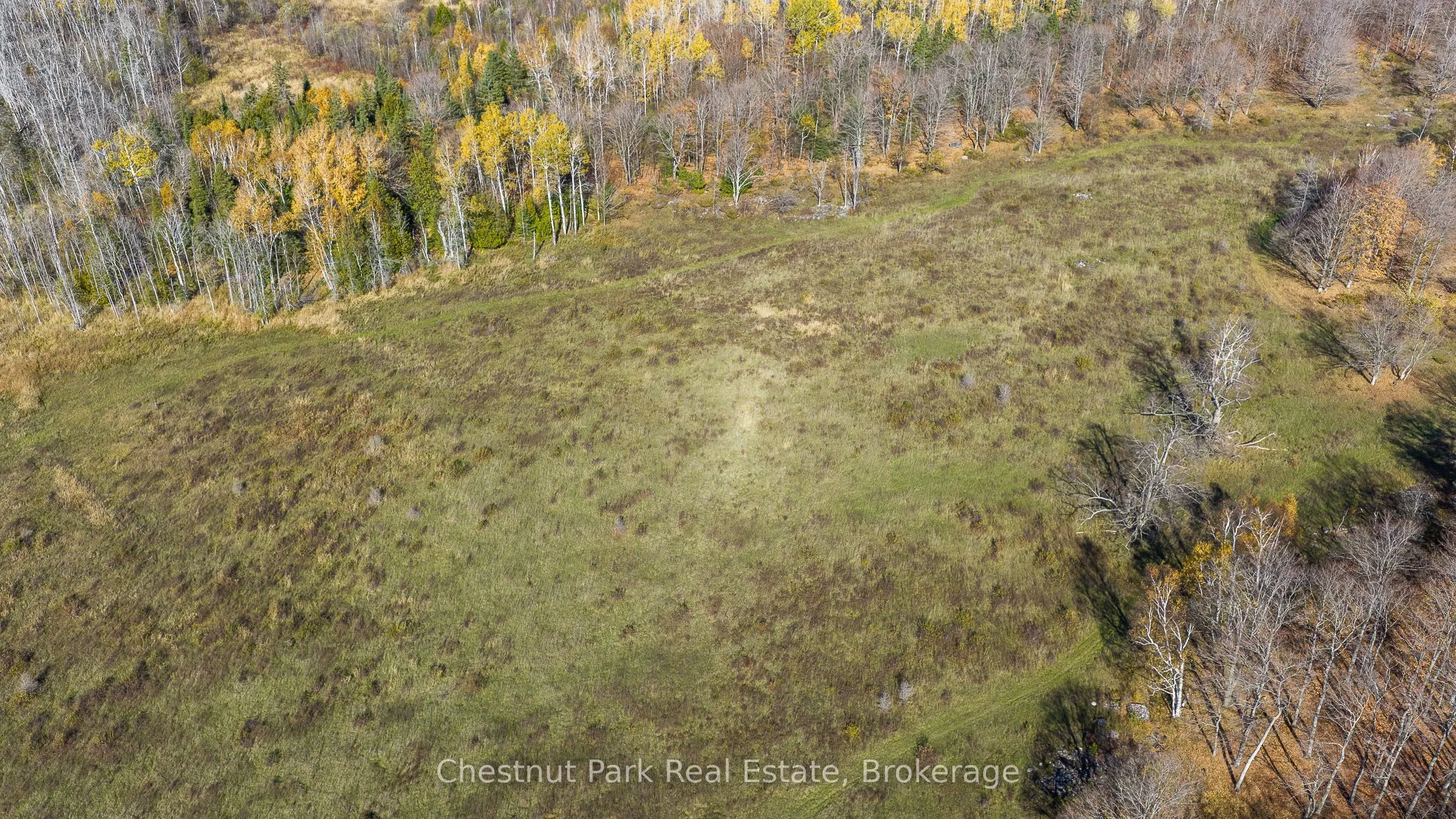 92 Crane Lake Road