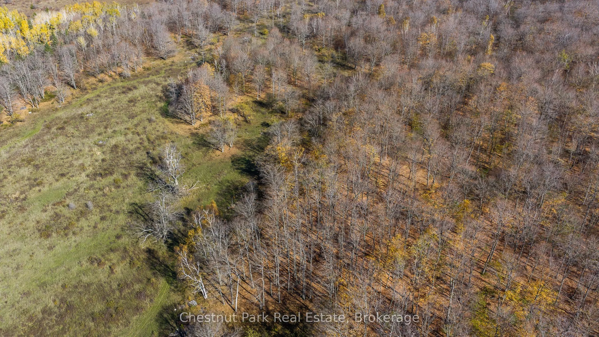 92 Crane Lake Road