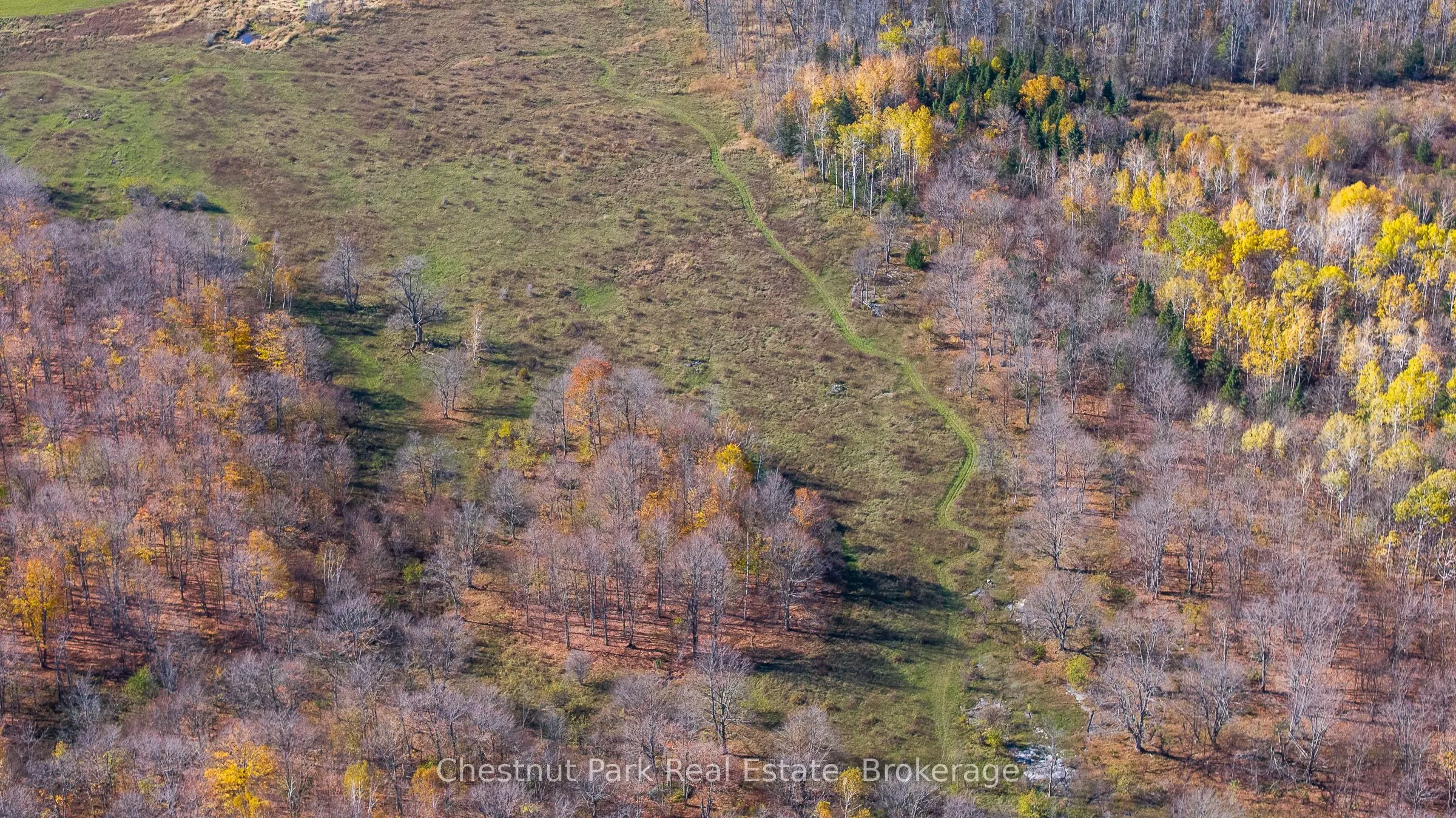 92 Crane Lake Road