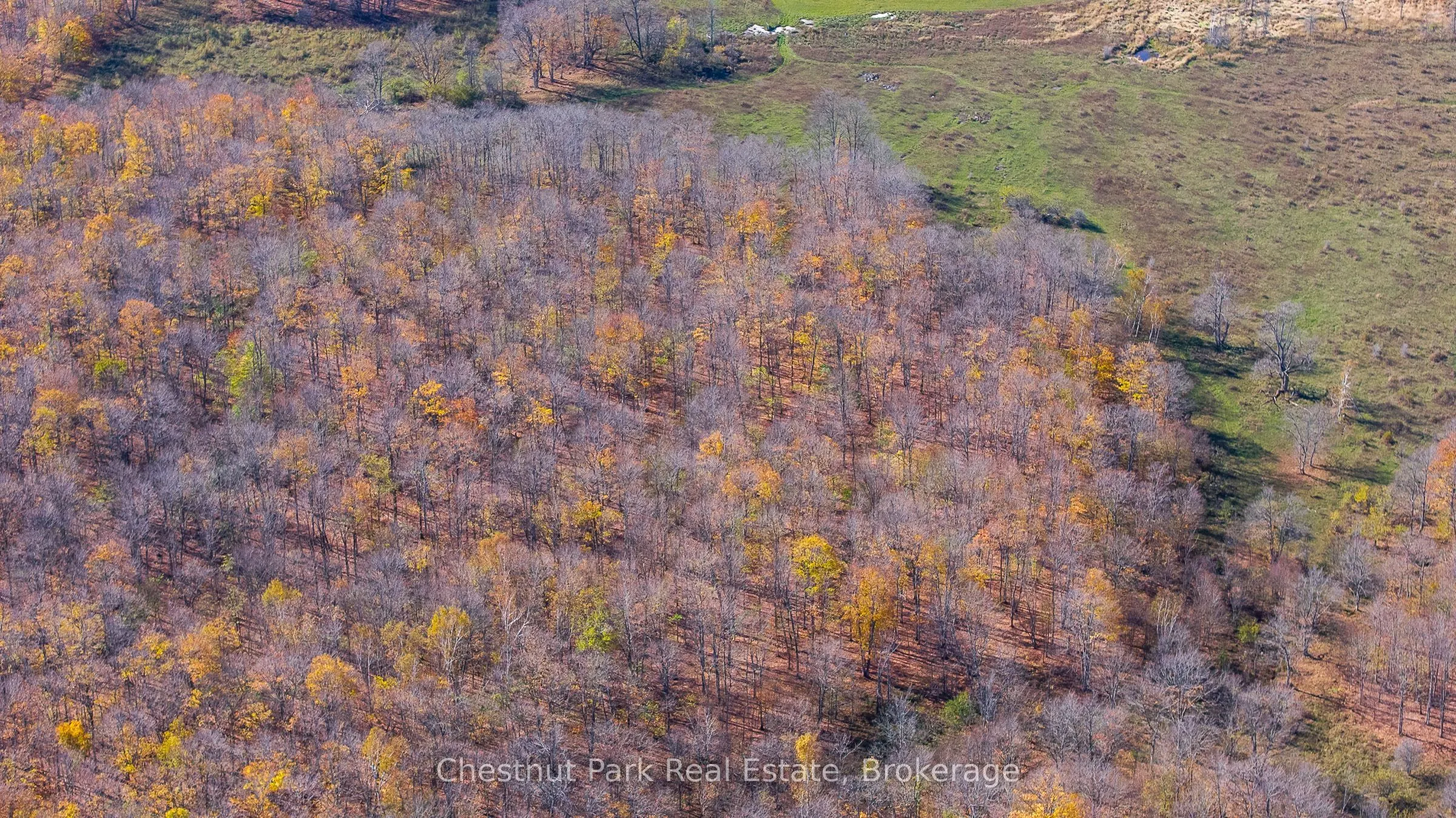 92 Crane Lake Road