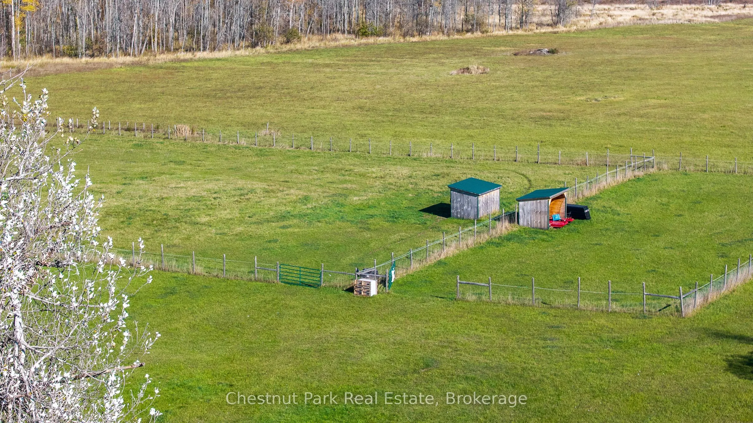 92 Crane Lake Road