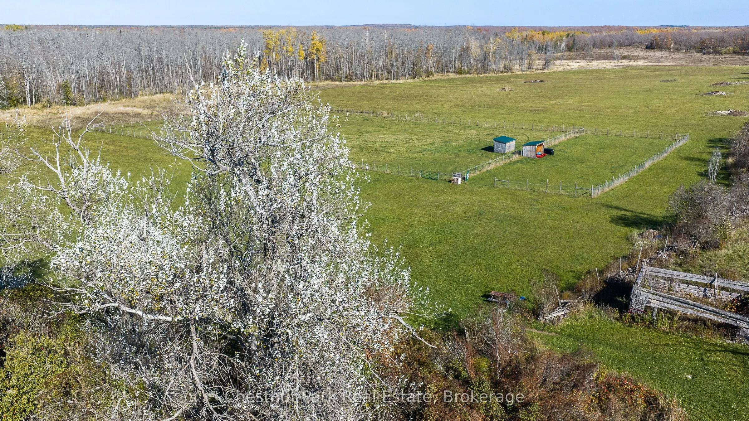 92 Crane Lake Road