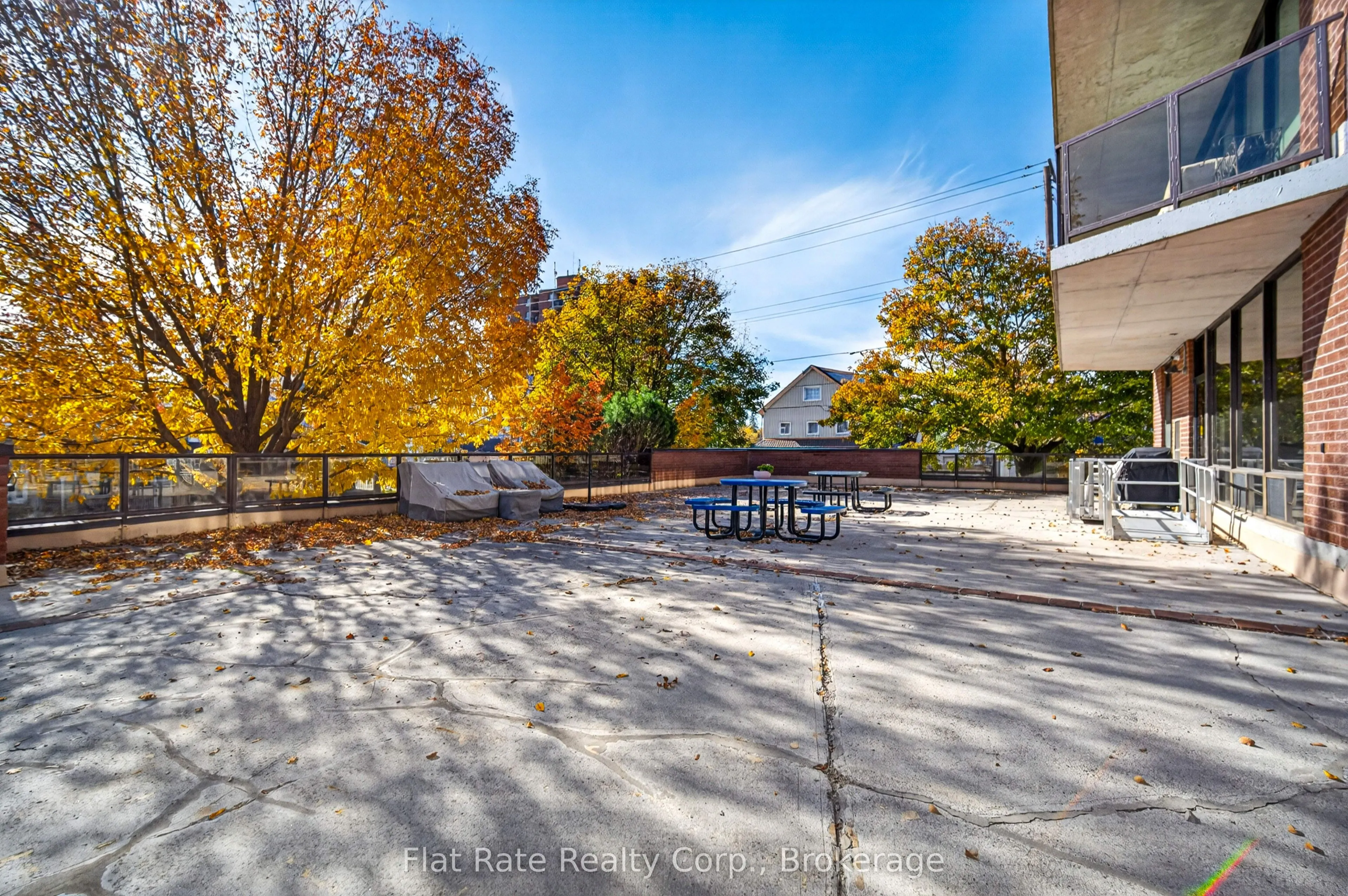 2 George Street N #406