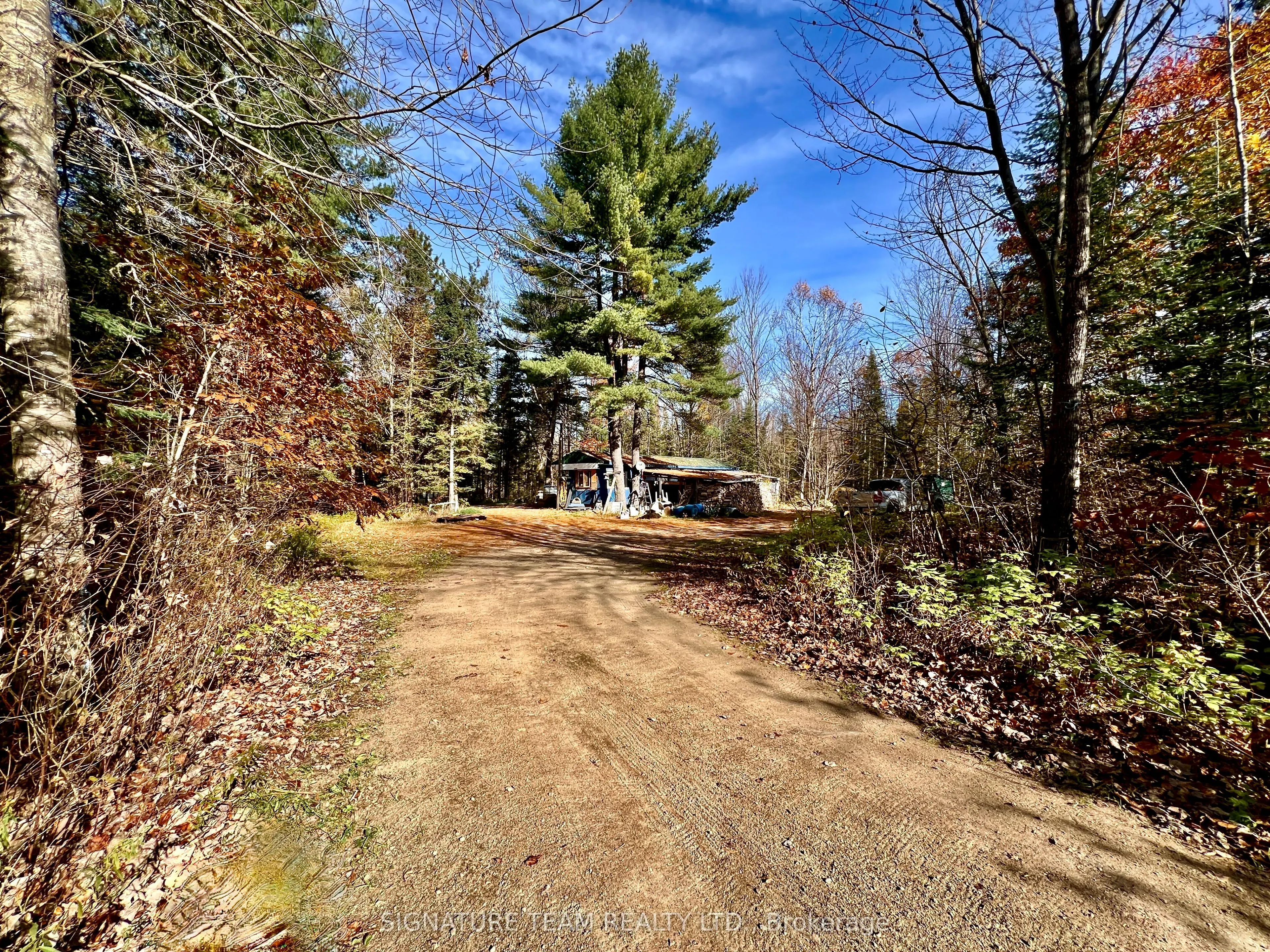 1 Carty Road