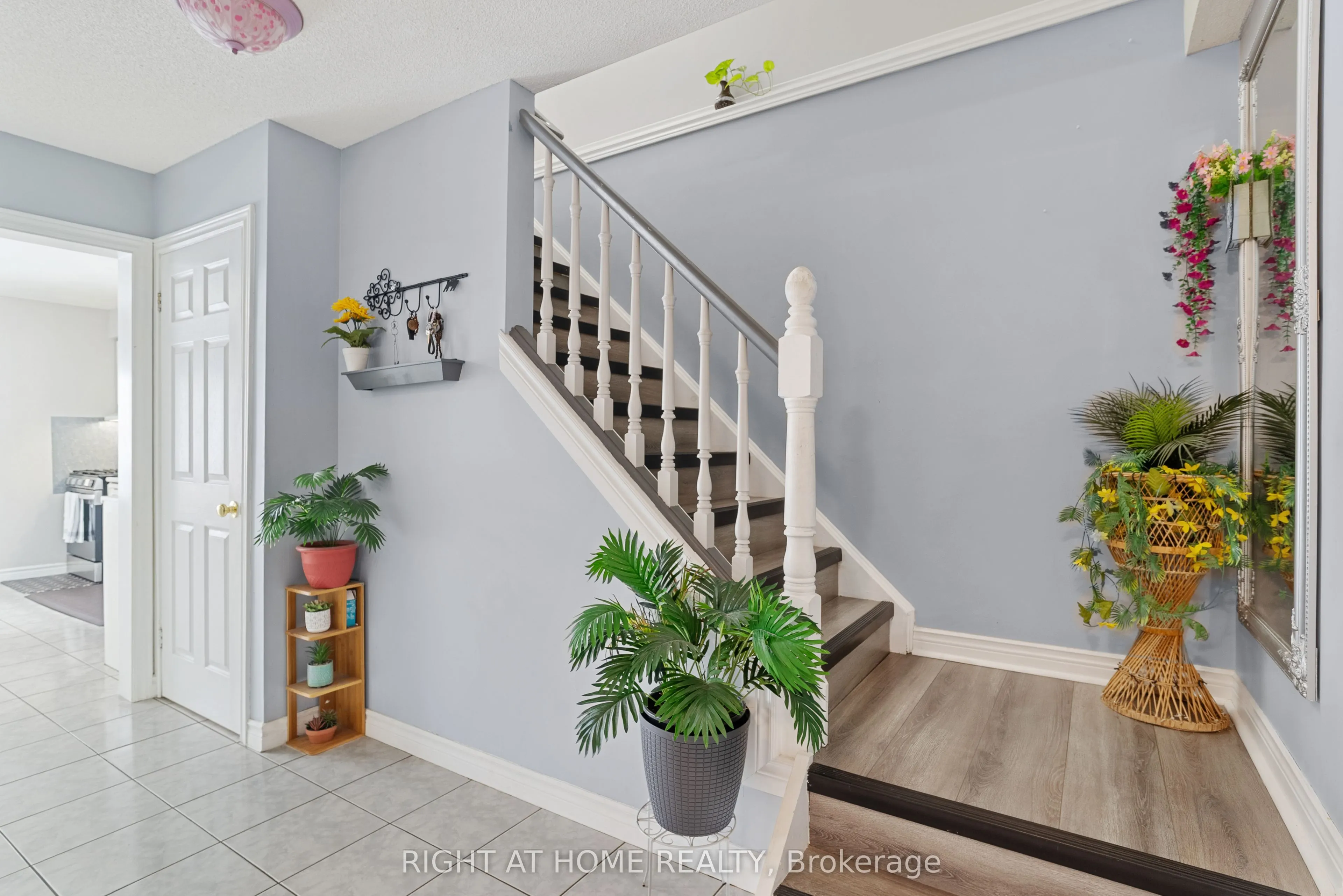 242 Colette Drive