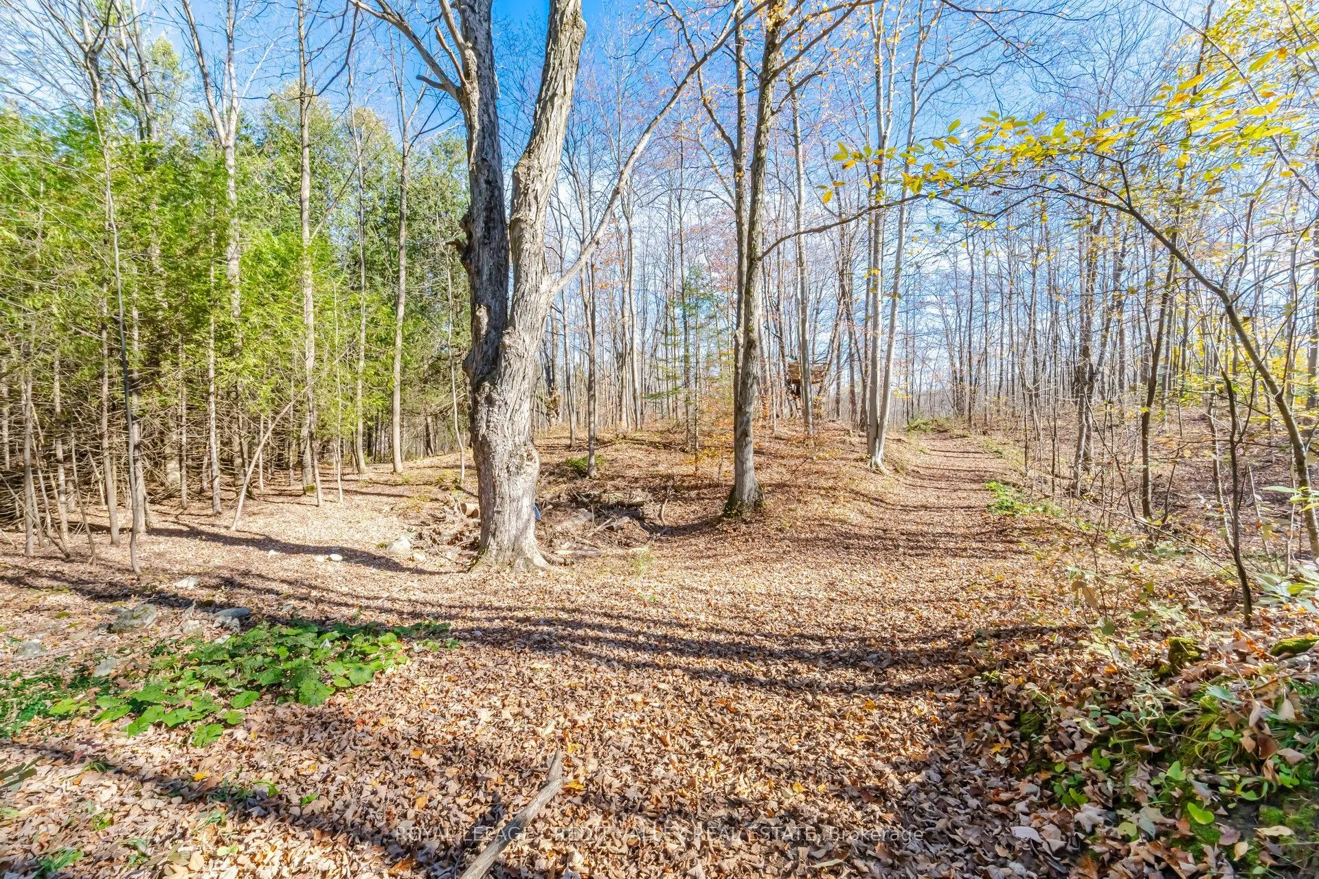 574291 Side Road 40