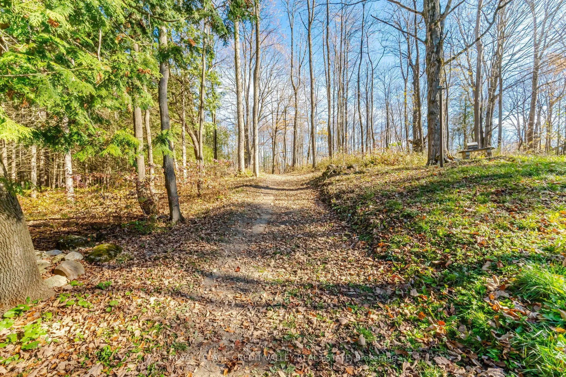 574291 Side Road 40