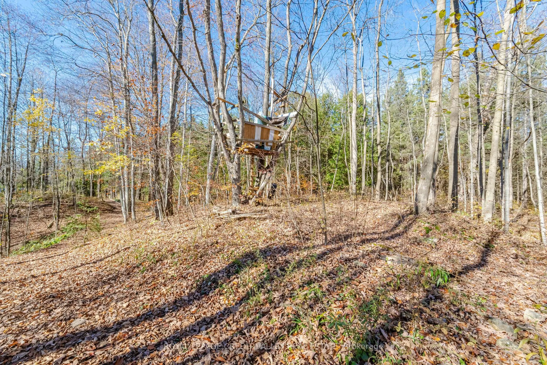 574291 Side Road 40