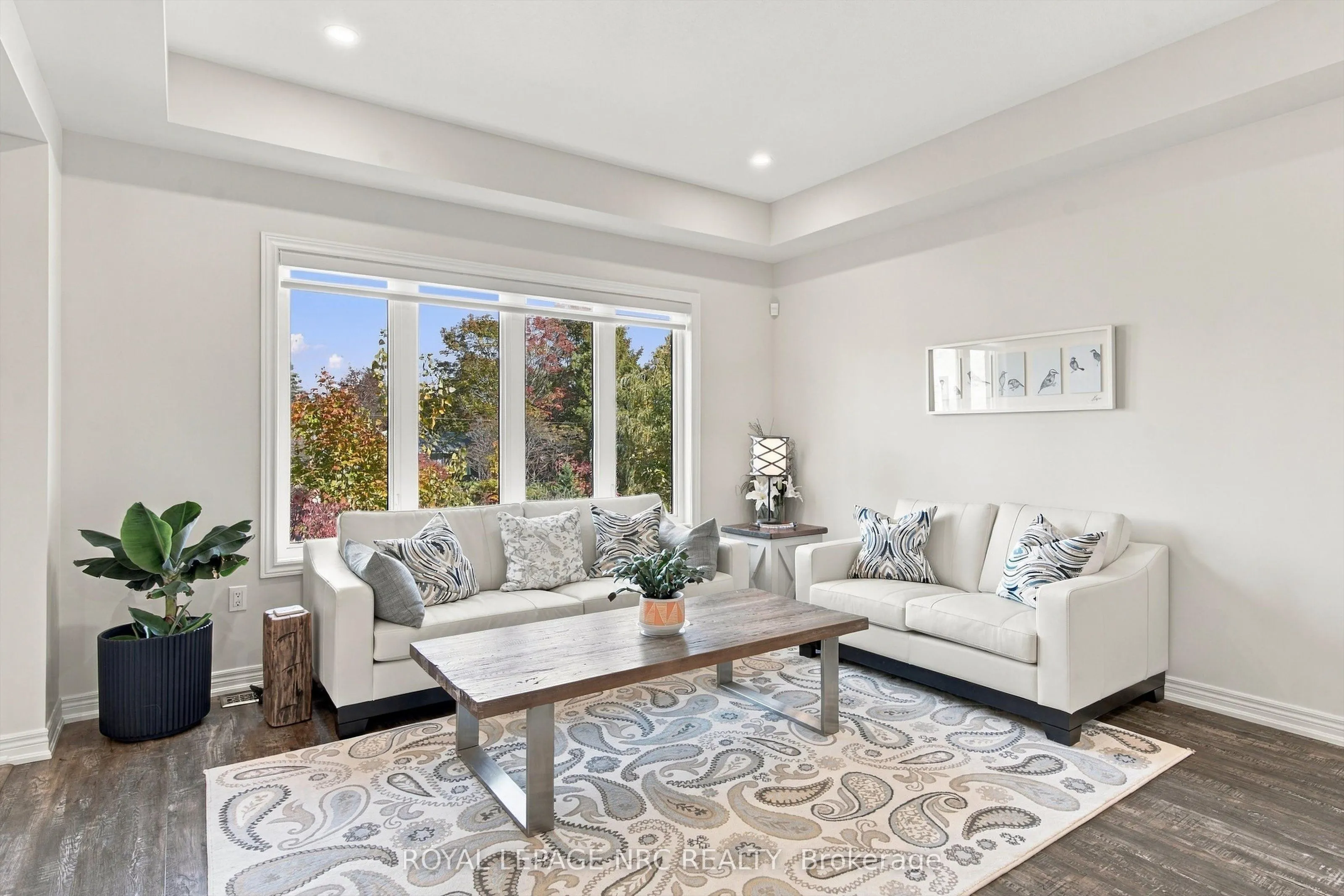 3606 Carolinia Court