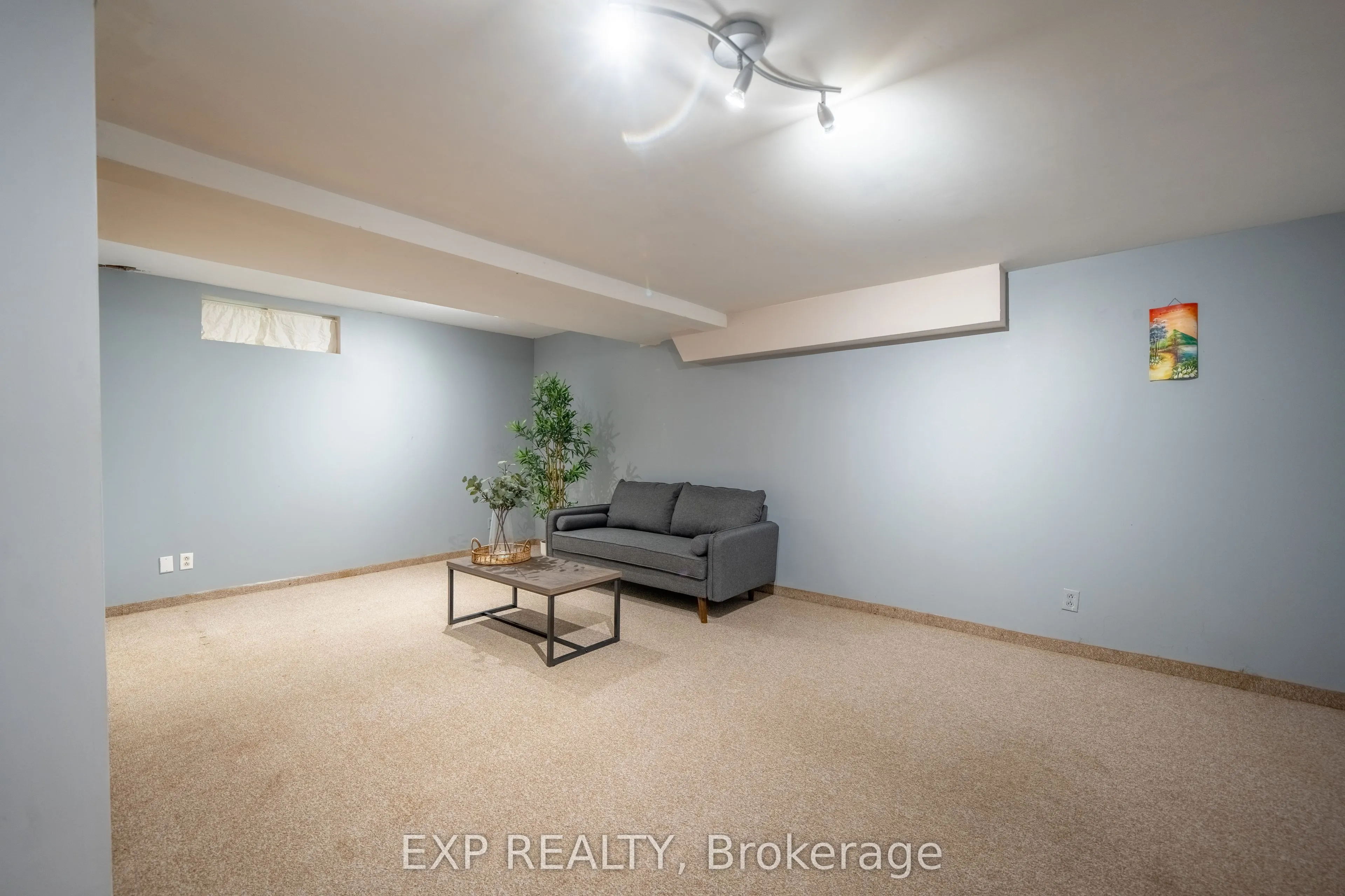 237 Grey Fox Drive