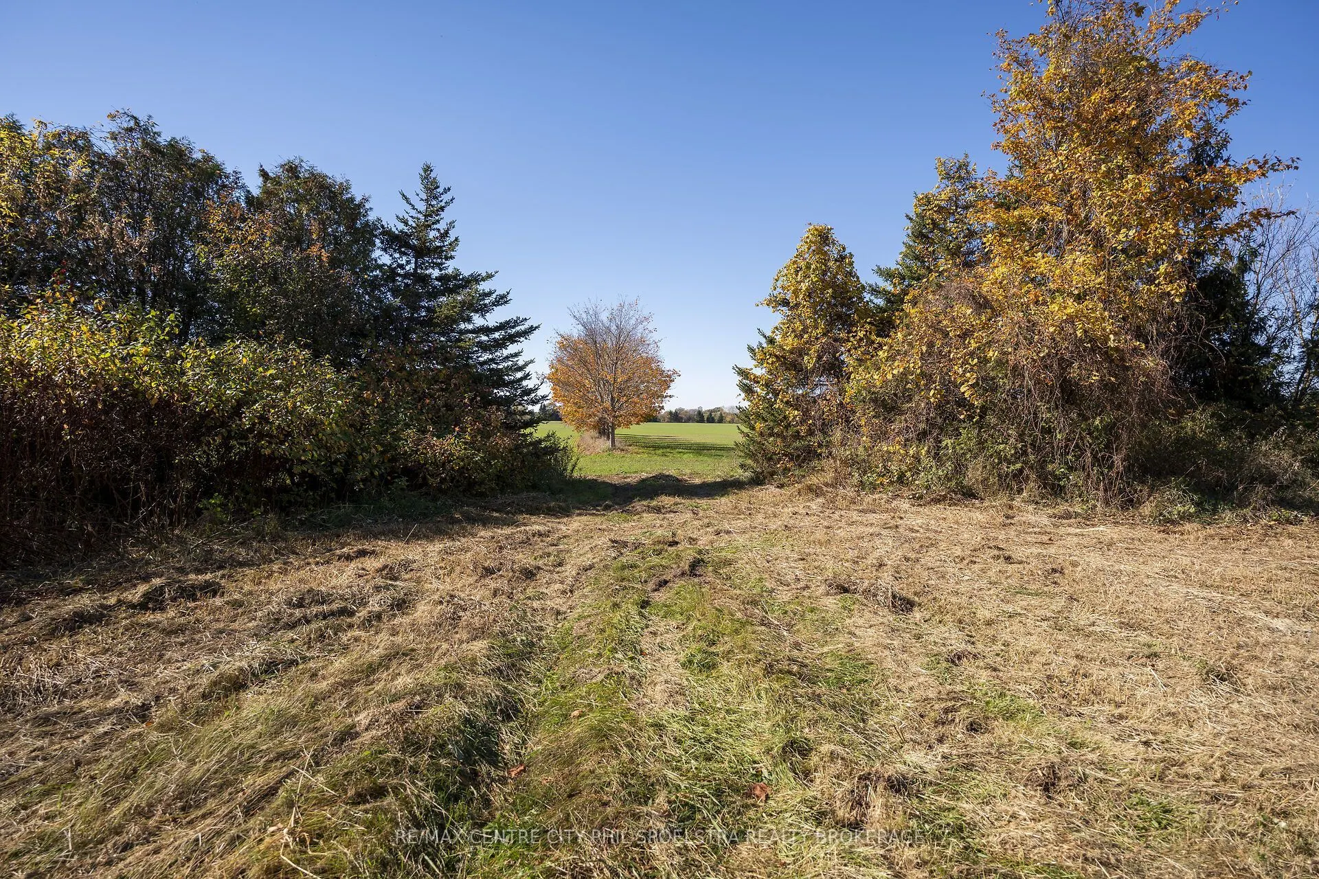 20443 Purple Hill Road