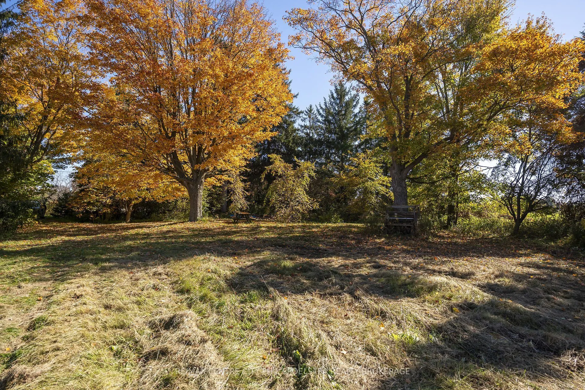 20443 Purple Hill Road