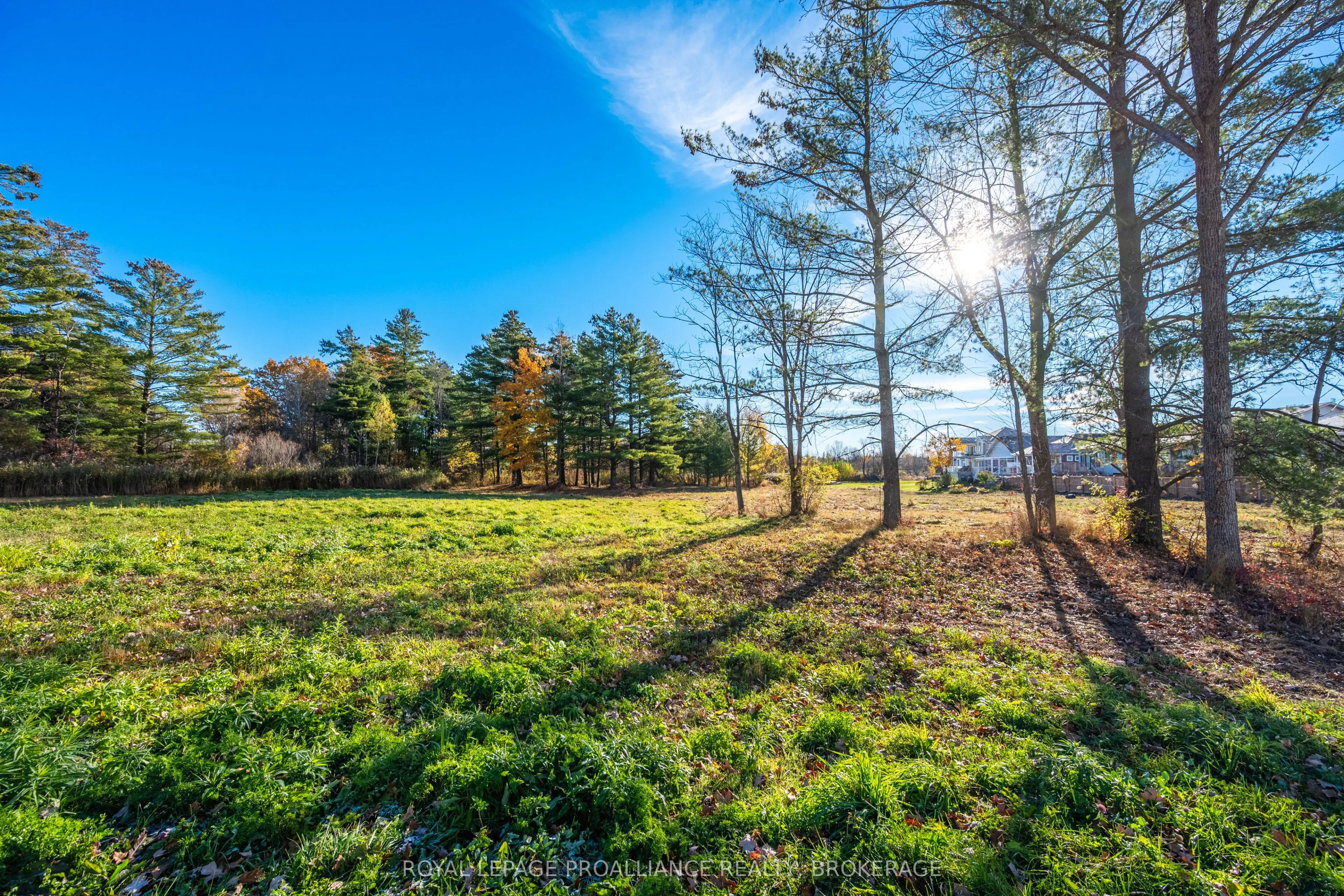 209 Mill Pond Place