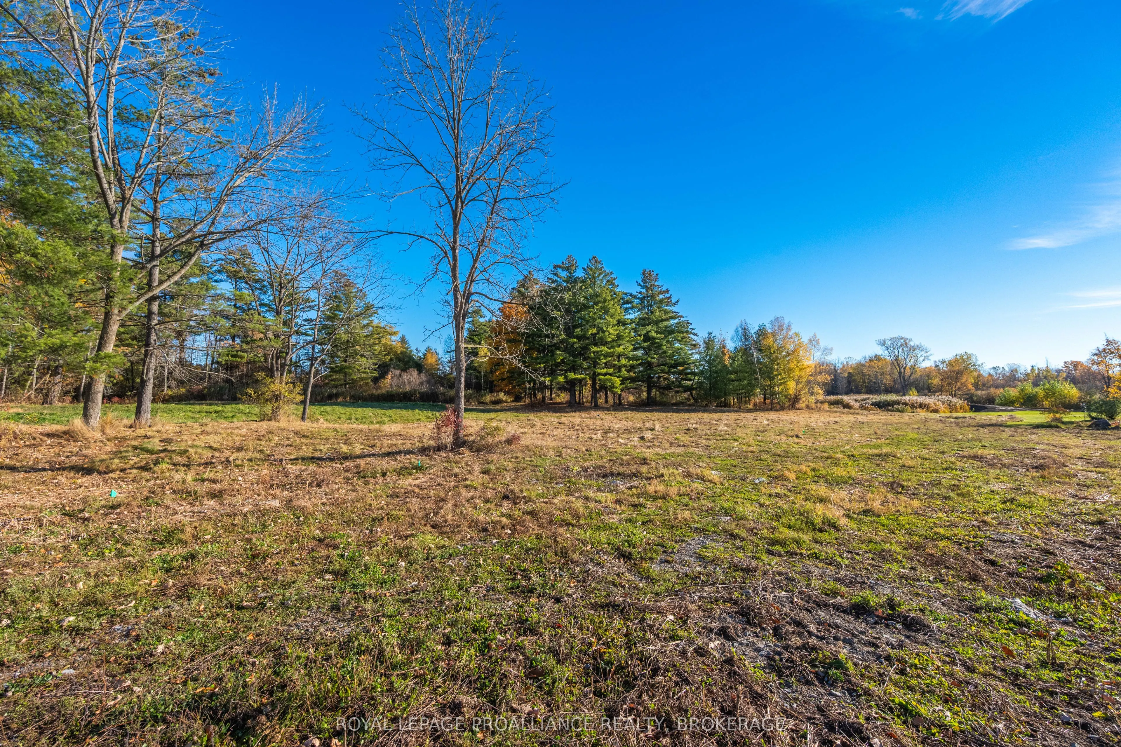 209 Mill Pond Place