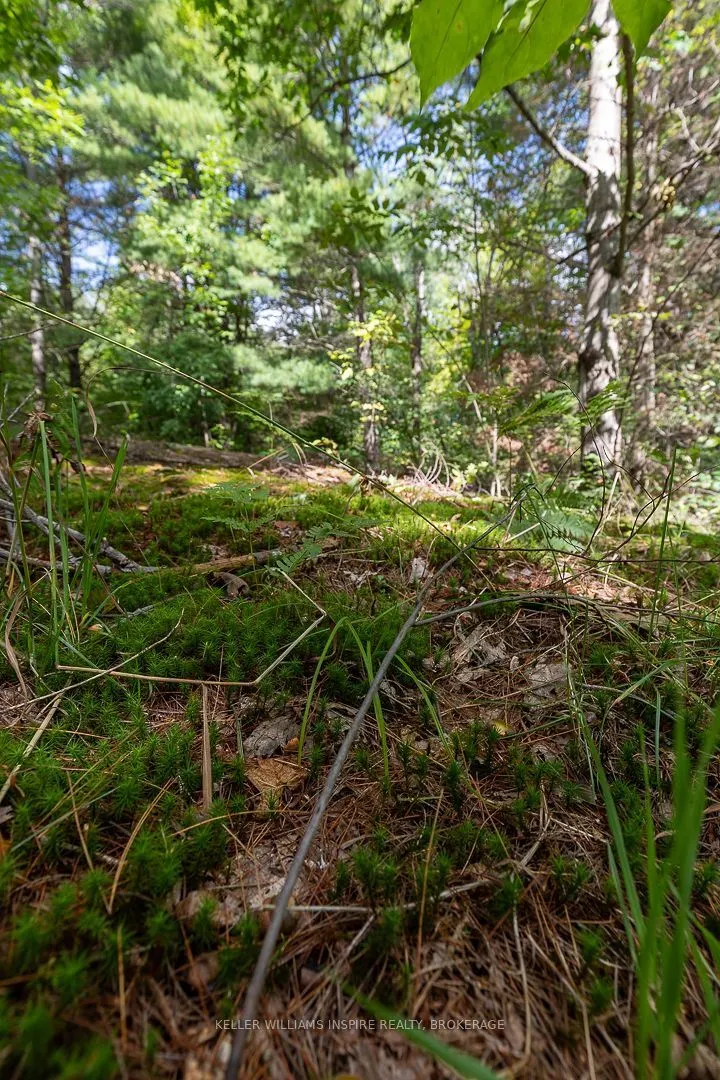 0 Spruce Street