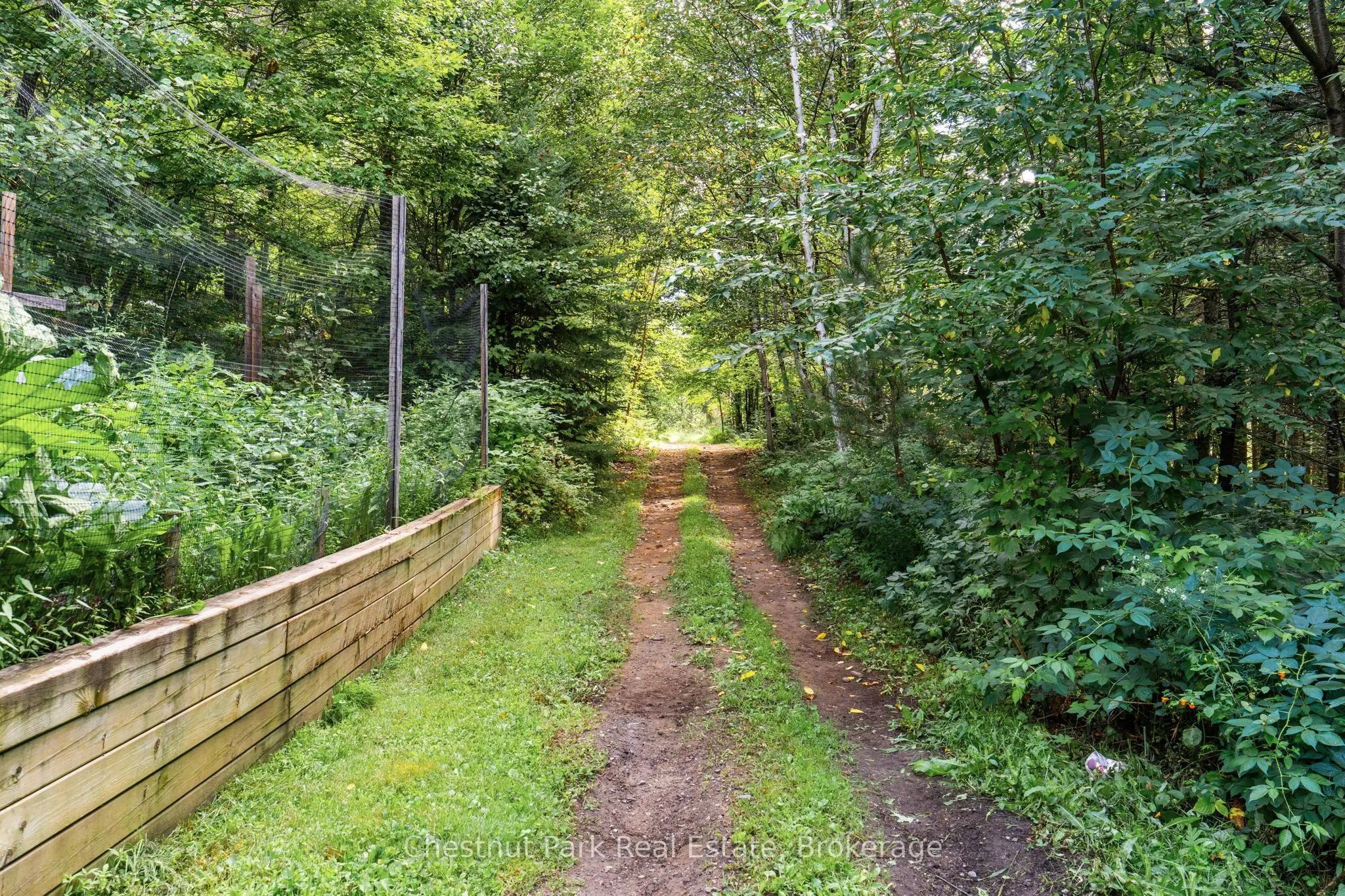 521 Old Muskoka Road