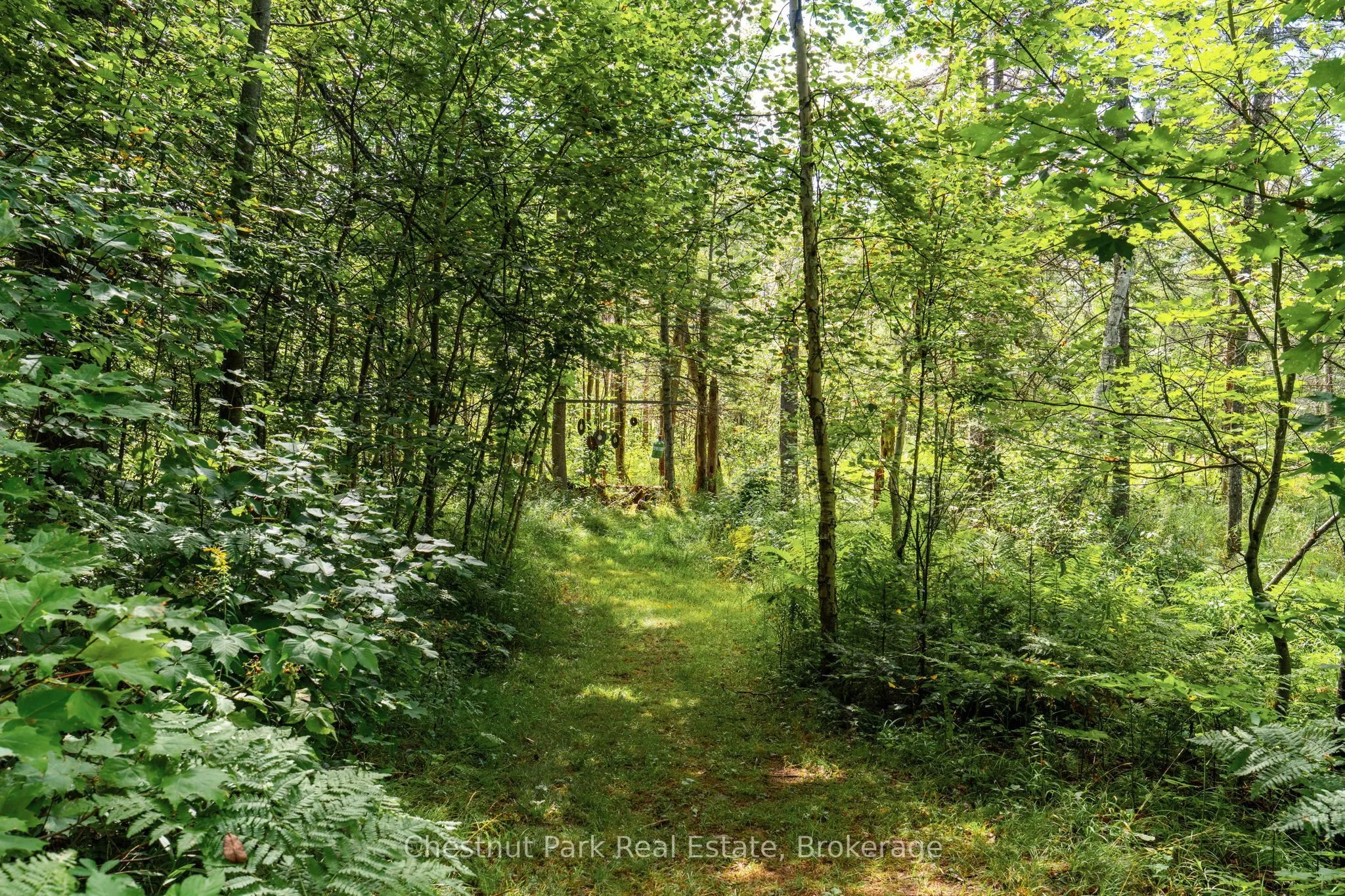 521 Old Muskoka Road