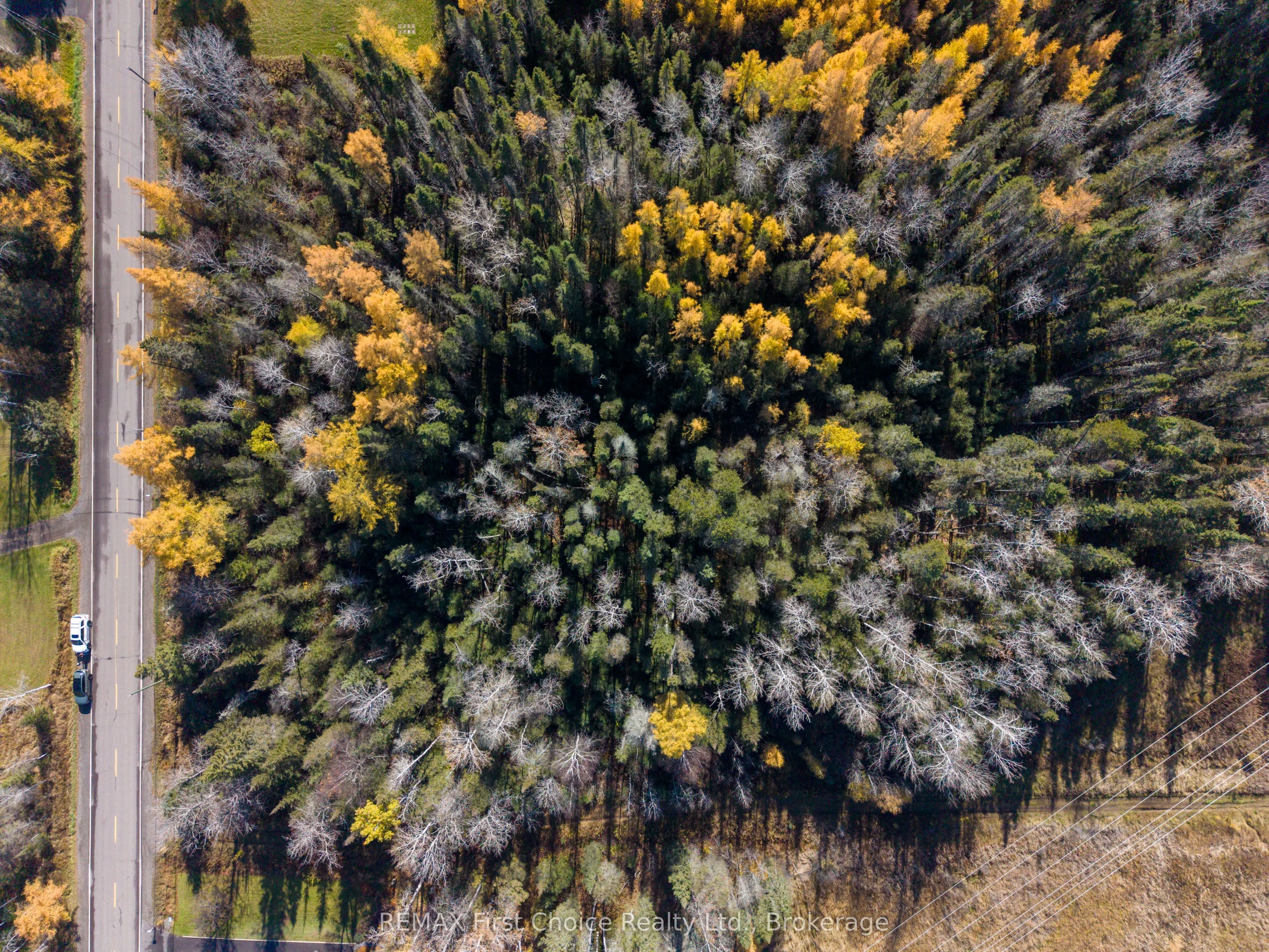 251 Onion Lake Road