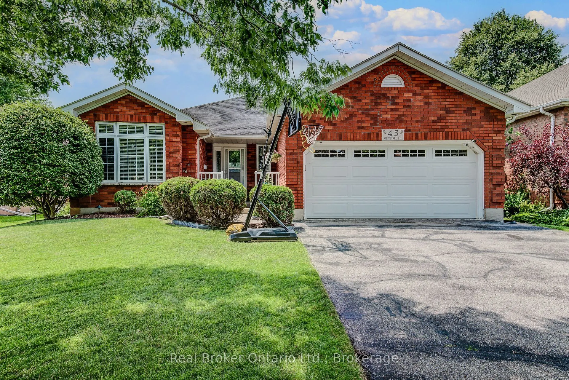 45 Olivetree Road