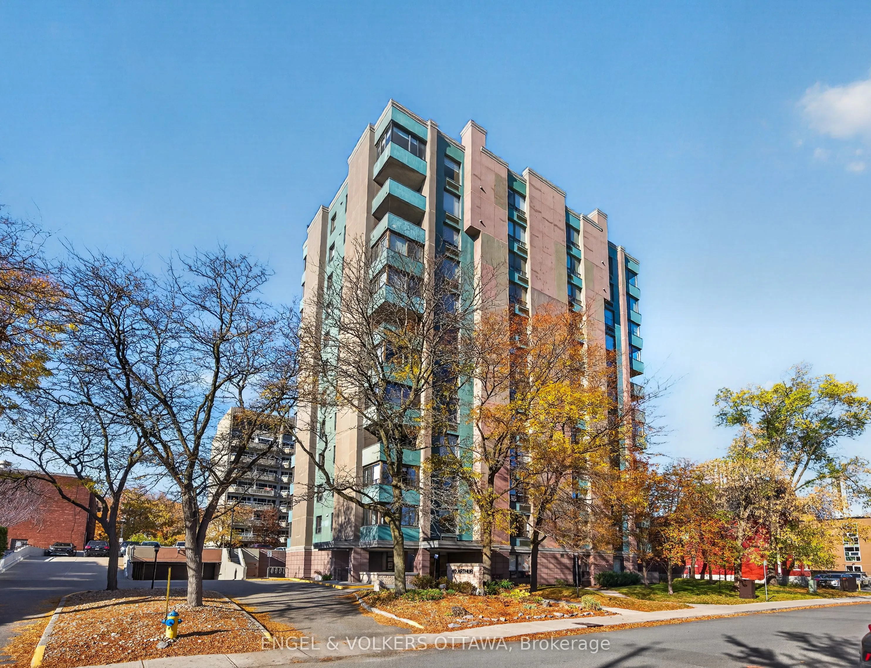 40 Arthur Street #203
