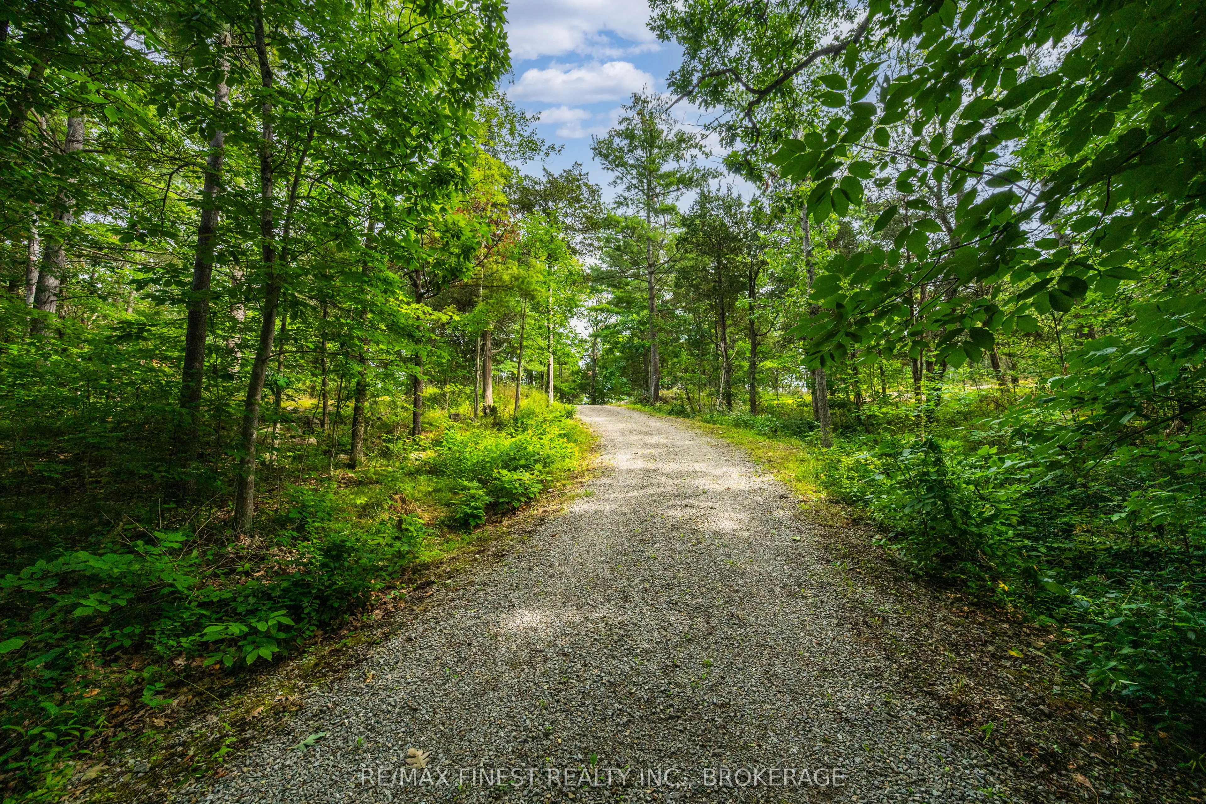 169 OLD RIVER Road
