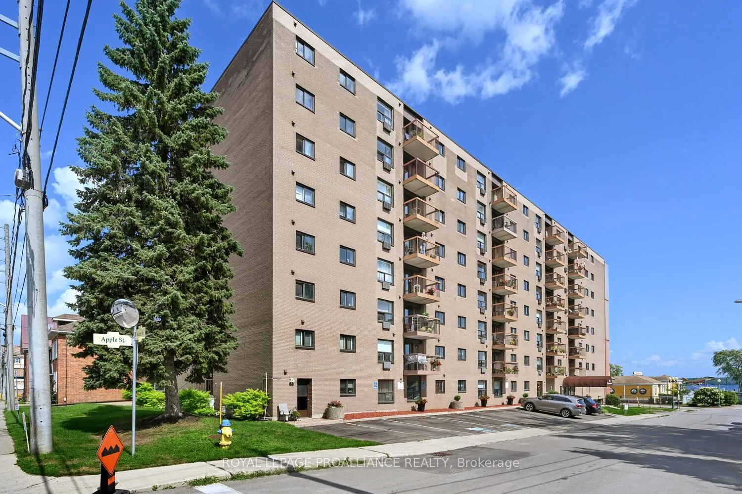 3 Apple Street #701