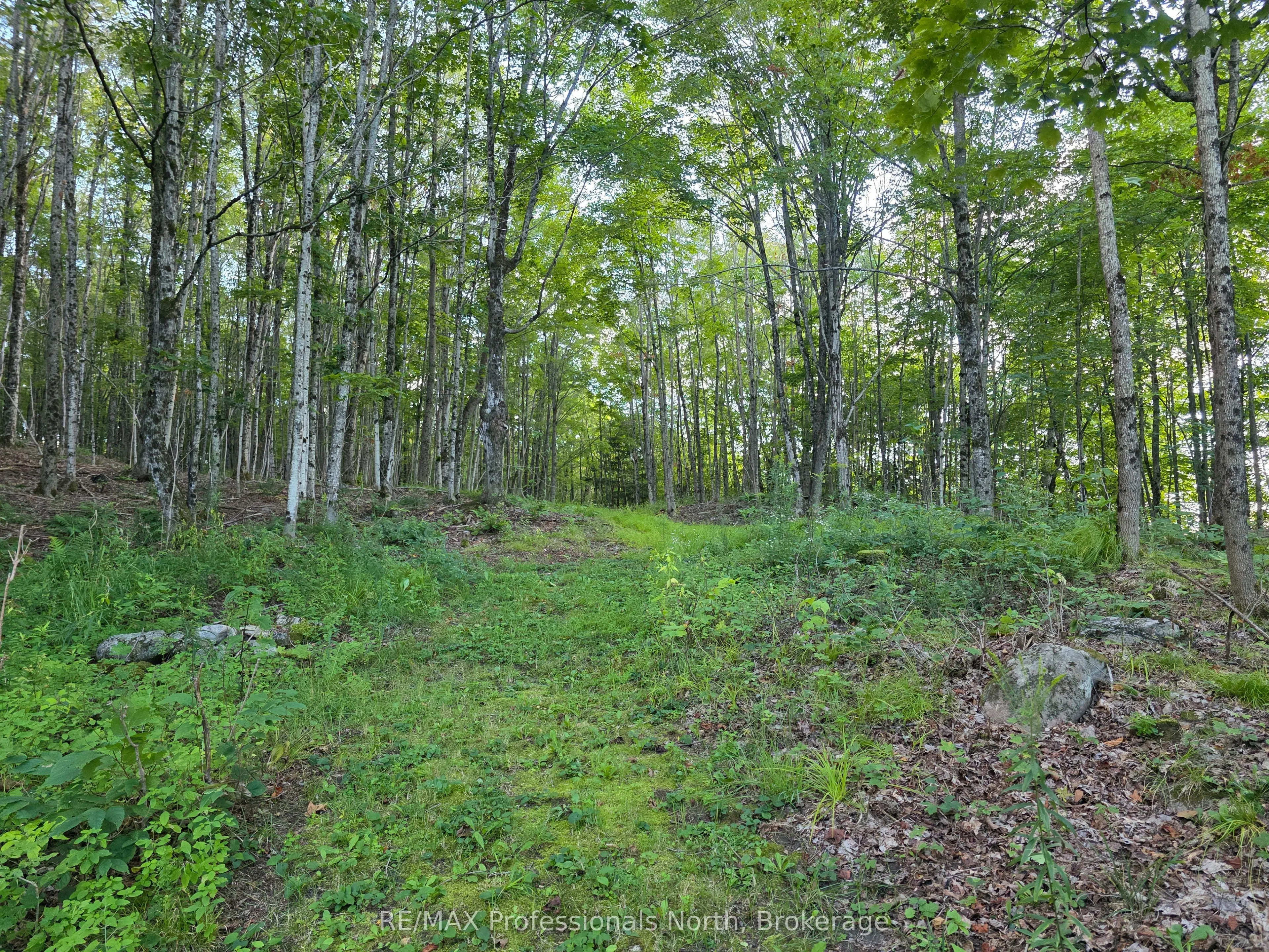 1026 Puffer Road