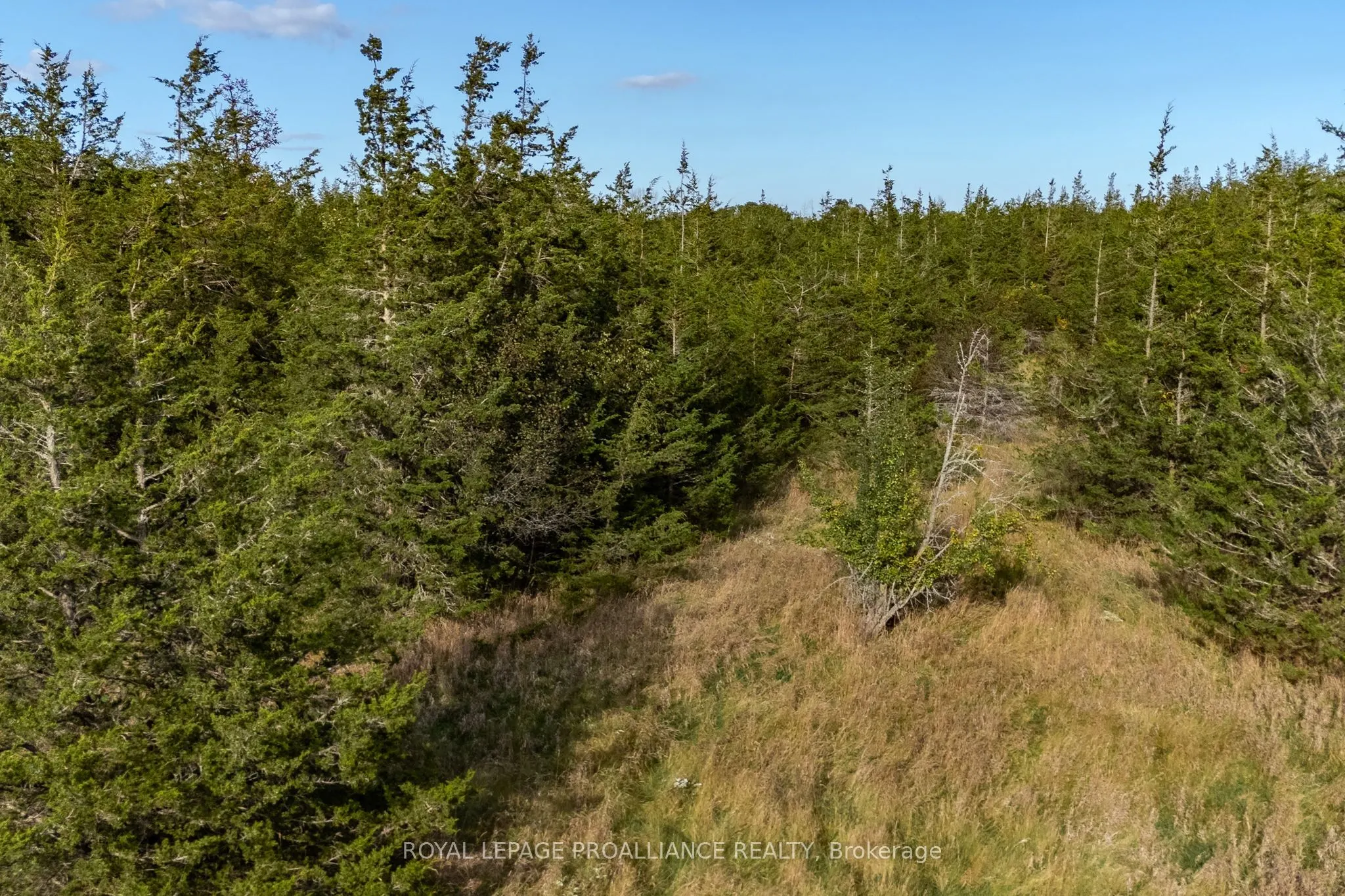 Lot 45 Sprague Road